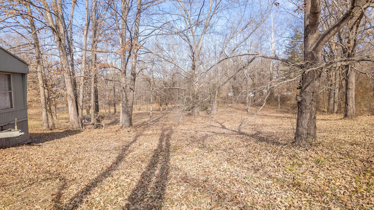 509 Old Cane Bluff Road Property Photo 59