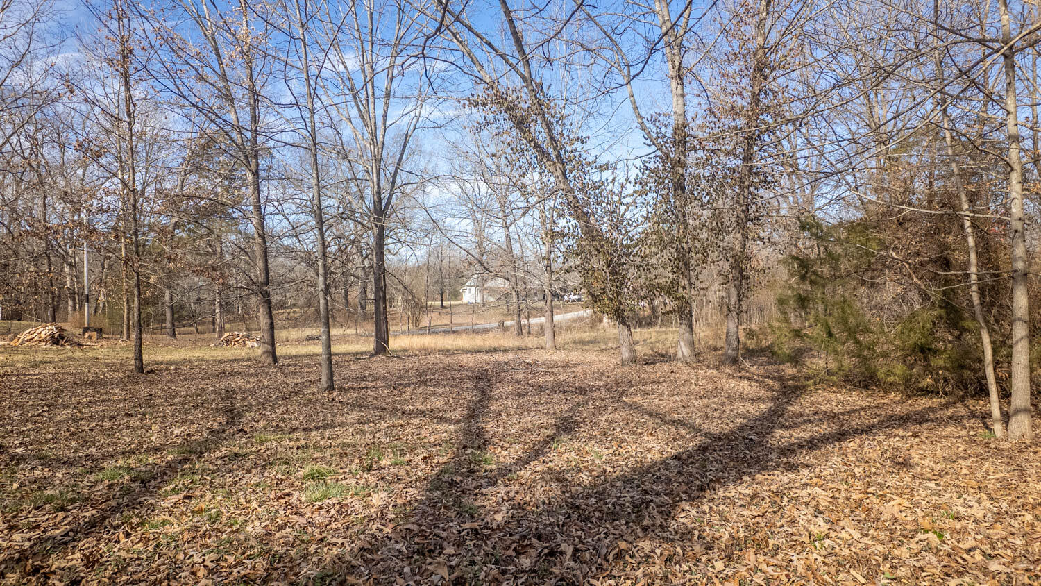 509 Old Cane Bluff Road Property Photo 60