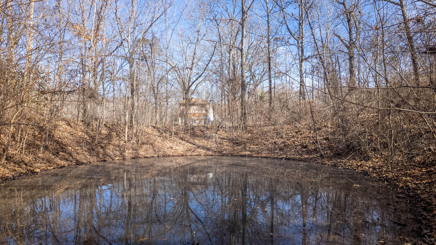 509 Old Cane Bluff Road Property Photo 65