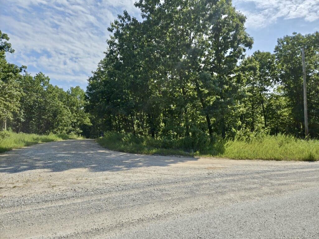 000 Lemon Lane Property Photo 3