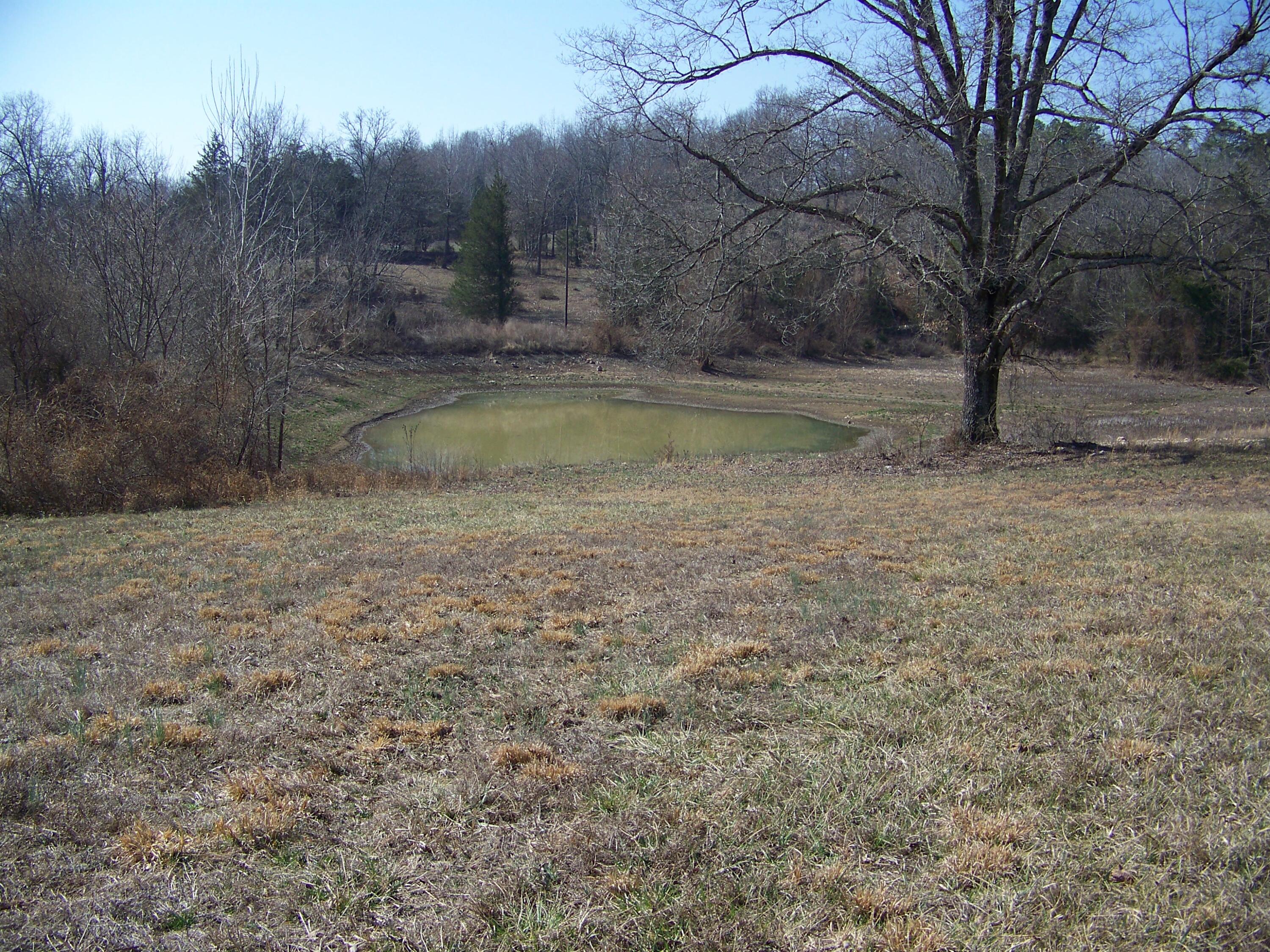 1452 County Road 542 Property Photo 22