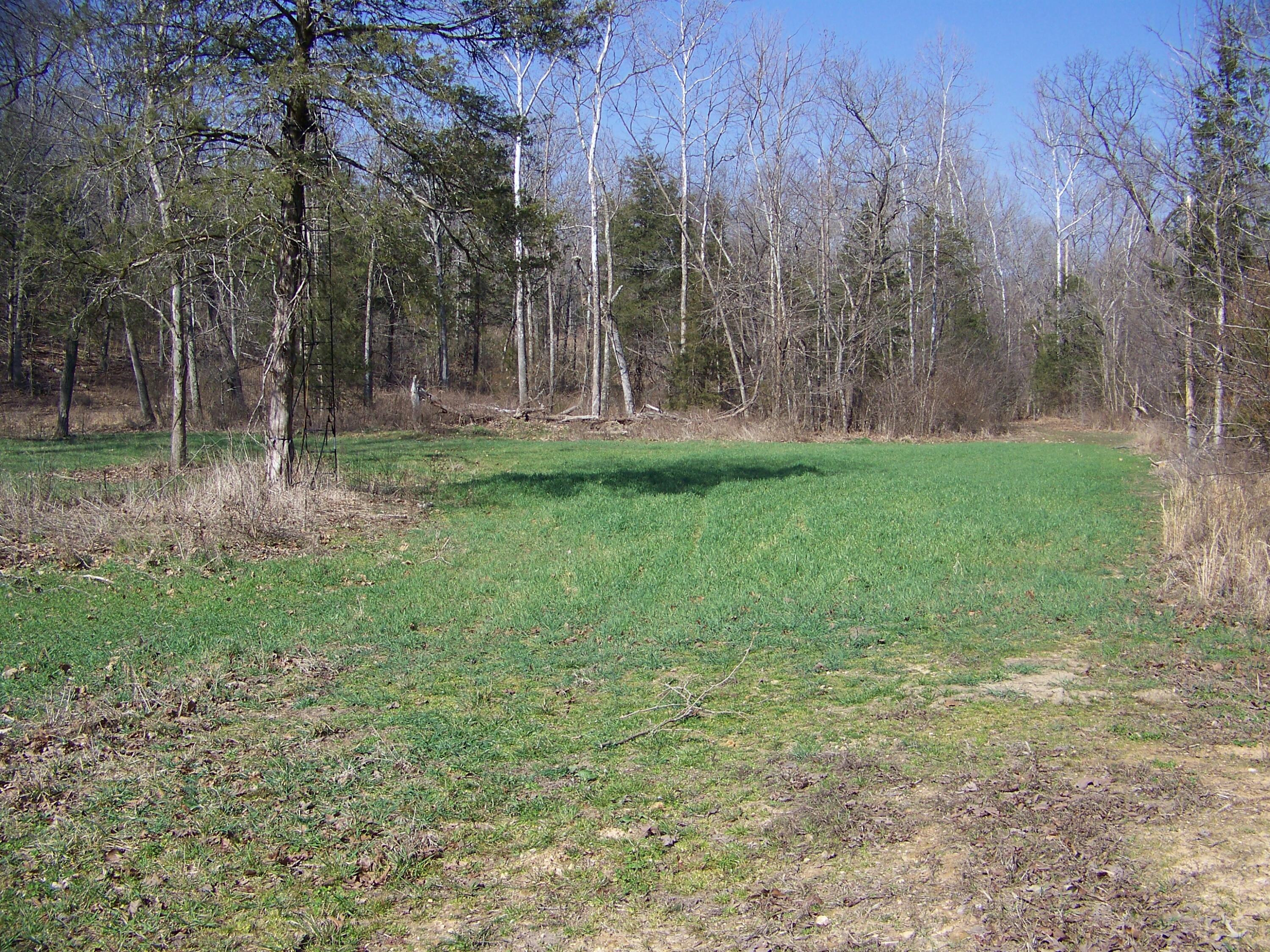 1452 County Road 542 Property Photo 50