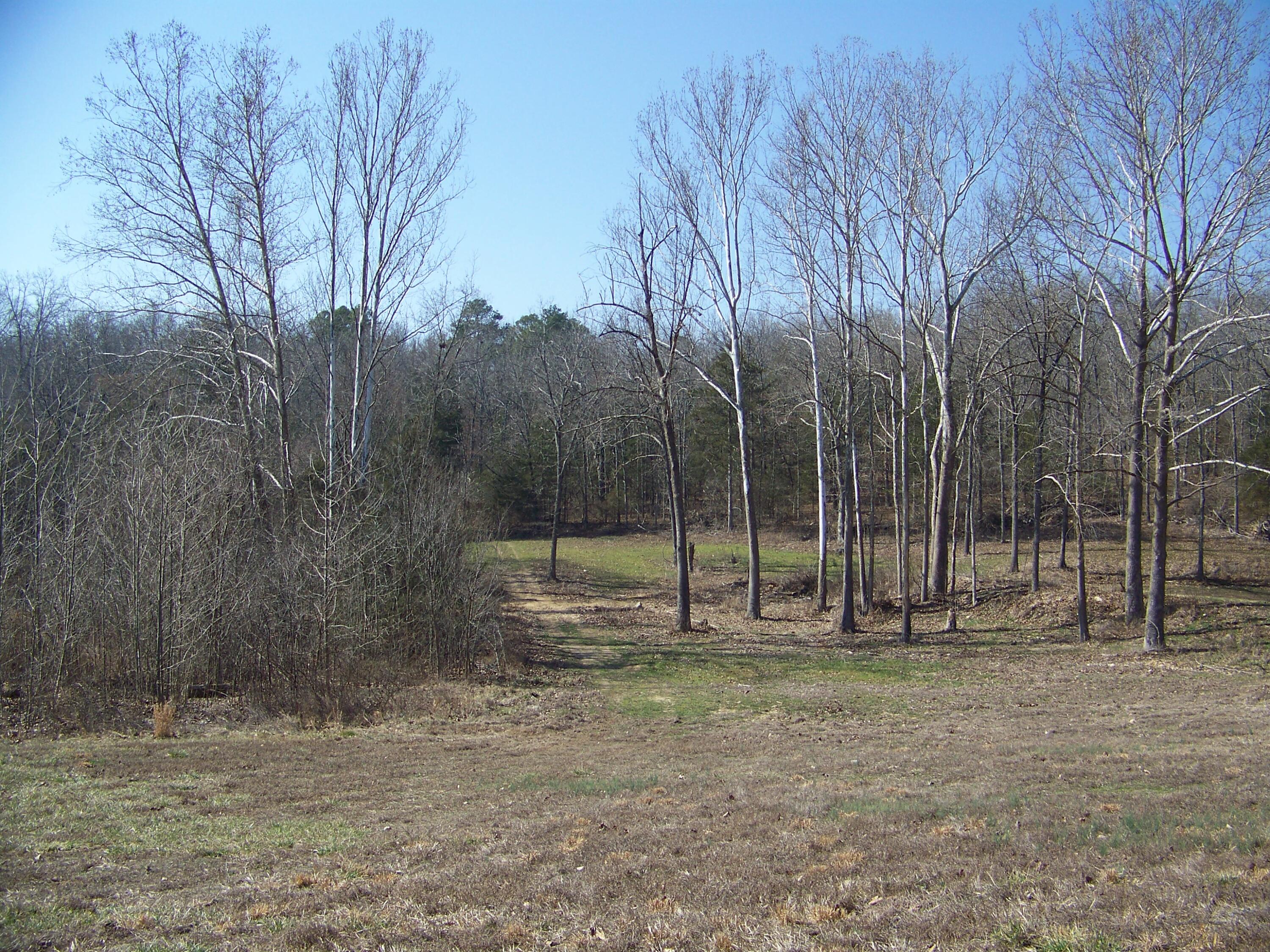 1452 County Road 542 Property Photo 52
