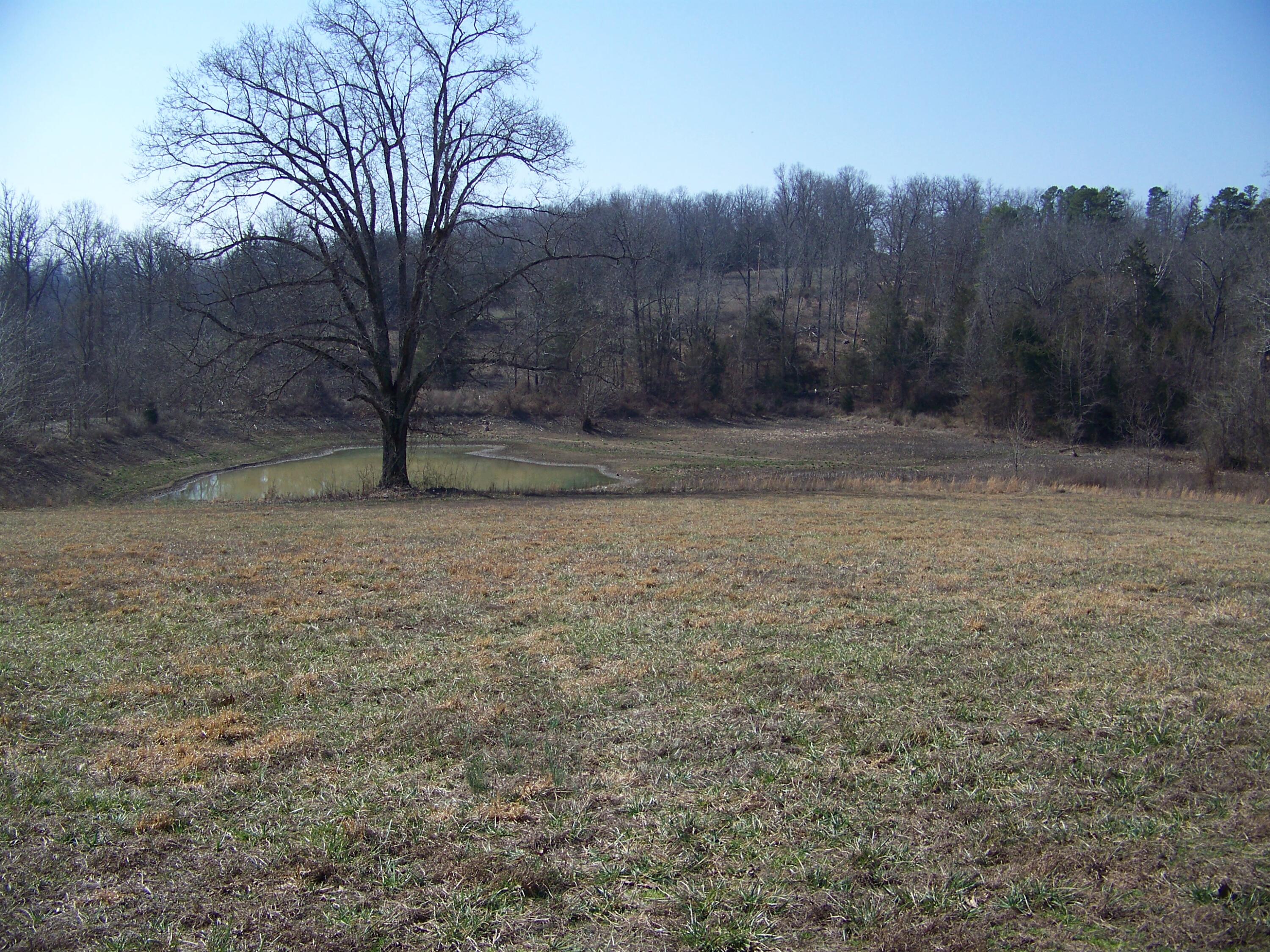 1452 County Road 542 Property Photo 54