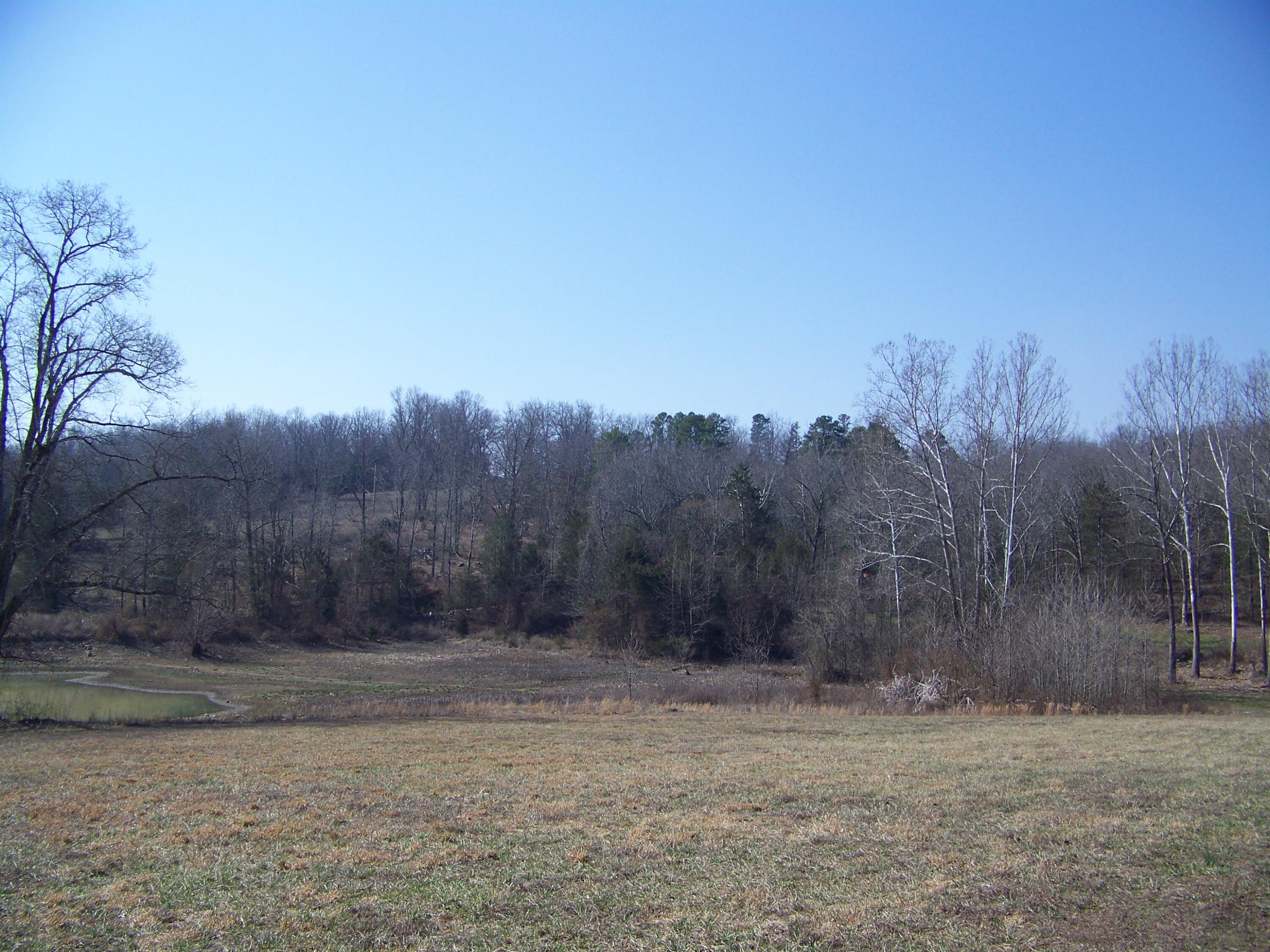 1452 County Road 542 Property Photo 55
