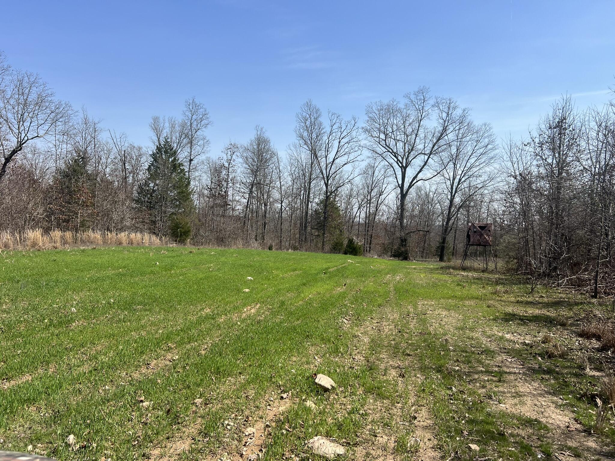 1452 County Road 542 Property Photo 57
