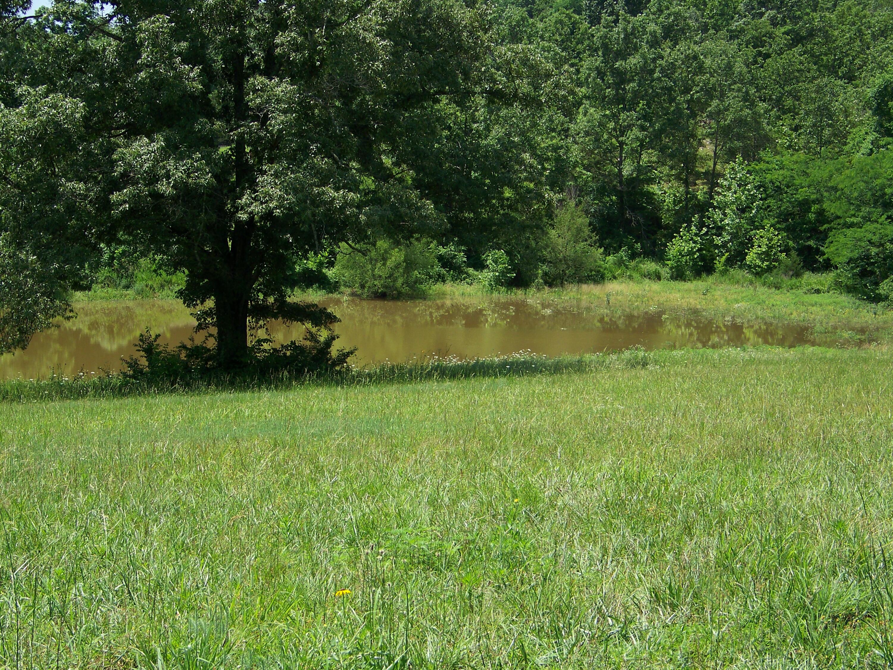 1452 County Road 542 Property Photo 63