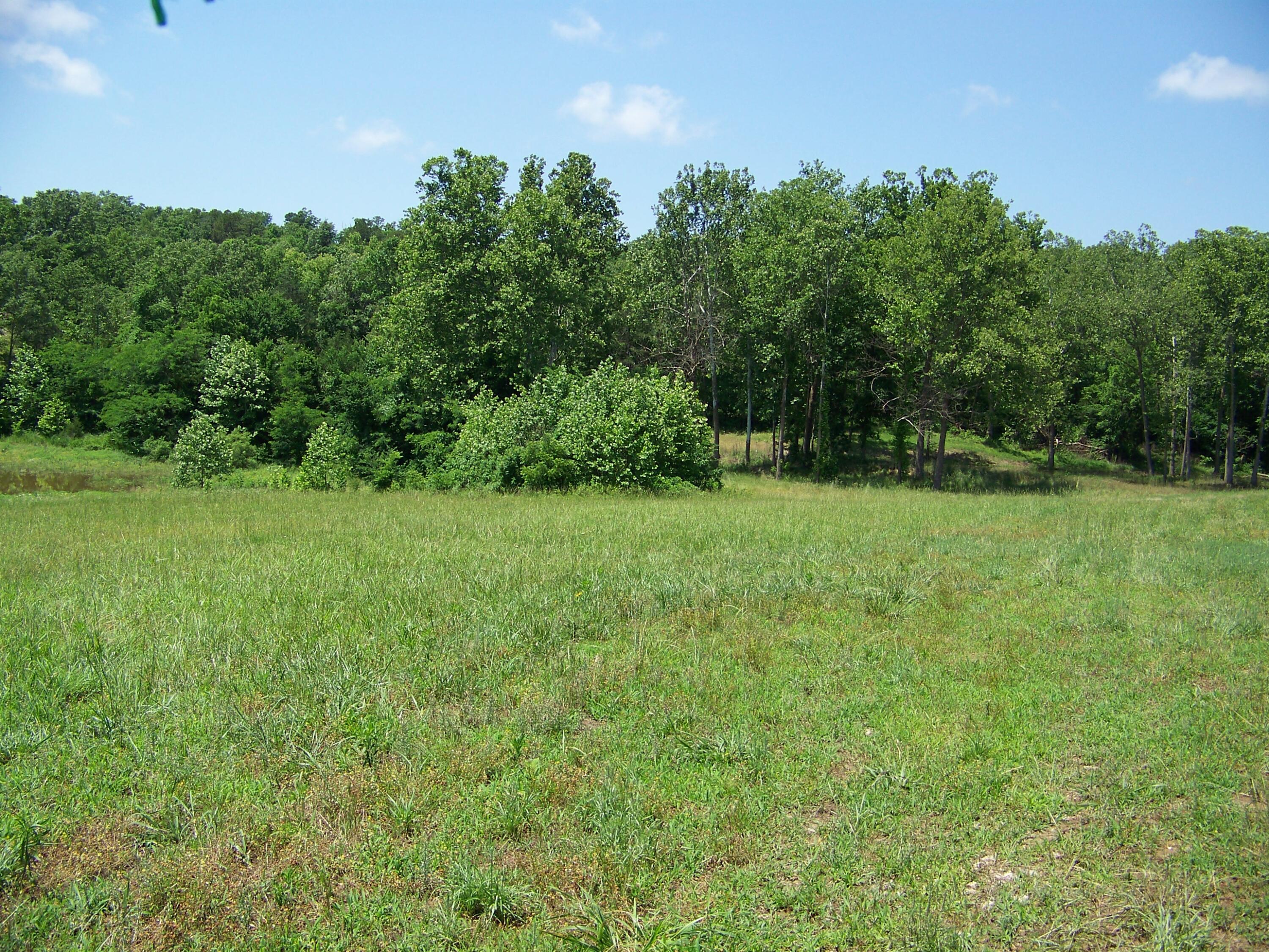1452 County Road 542 Property Photo 64