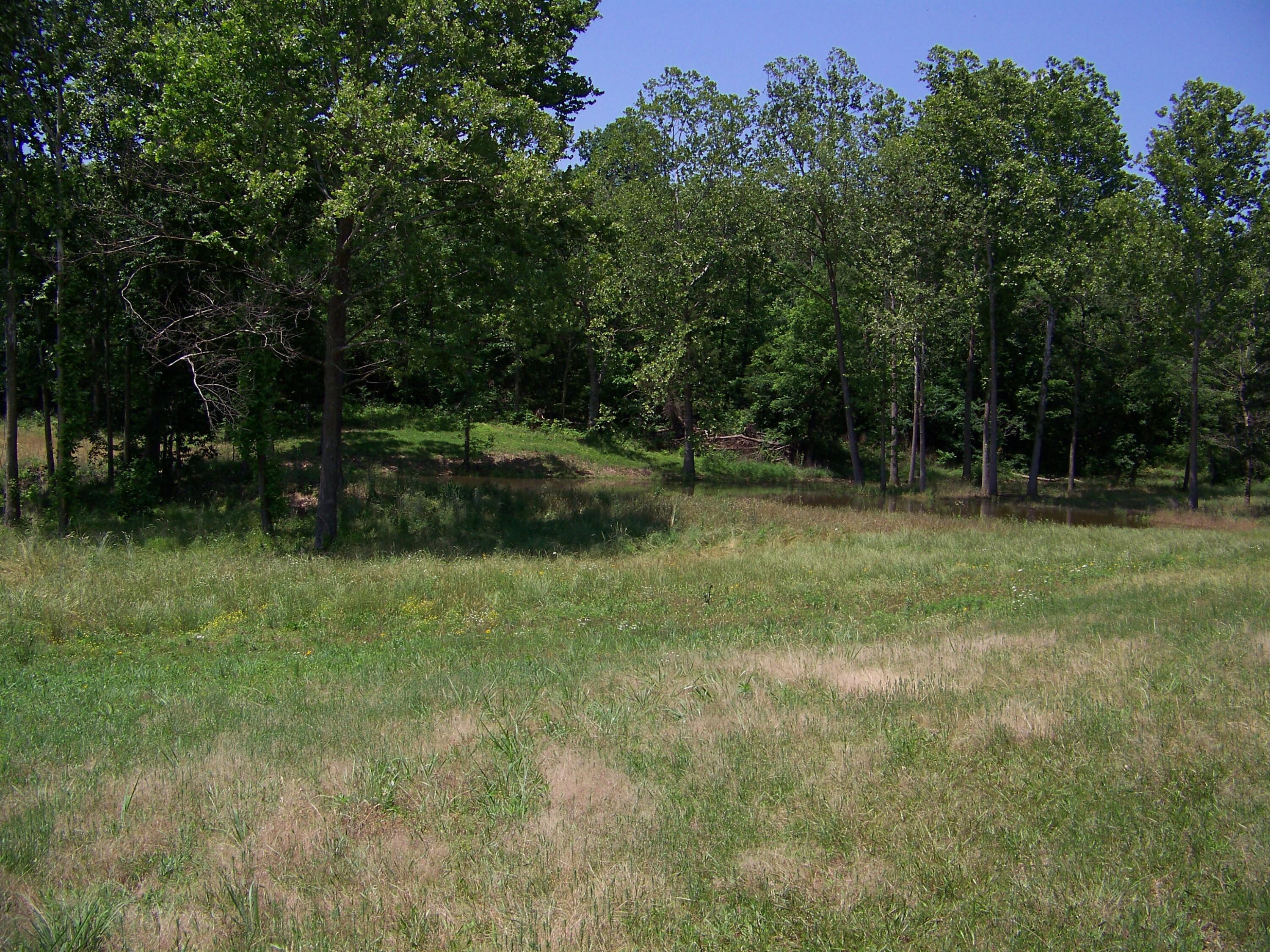 1452 County Road 542 Property Photo 65