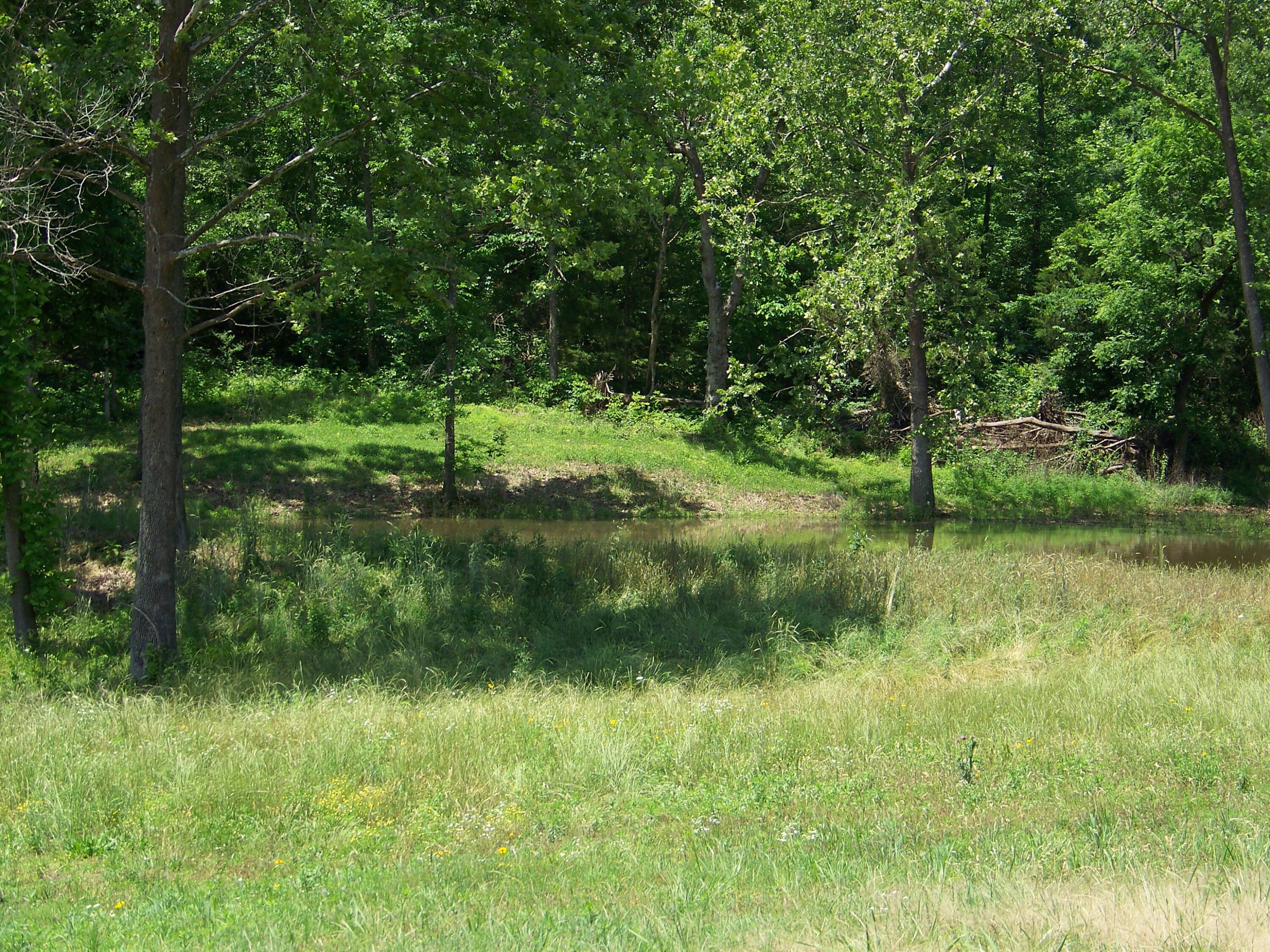 1452 County Road 542 Property Photo 66