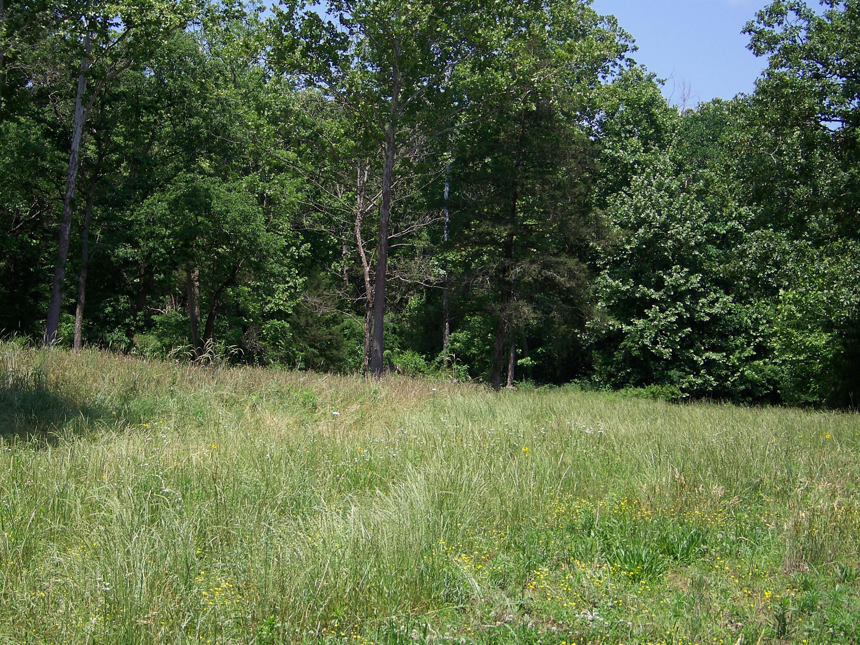 1452 County Road 542 Property Photo 67