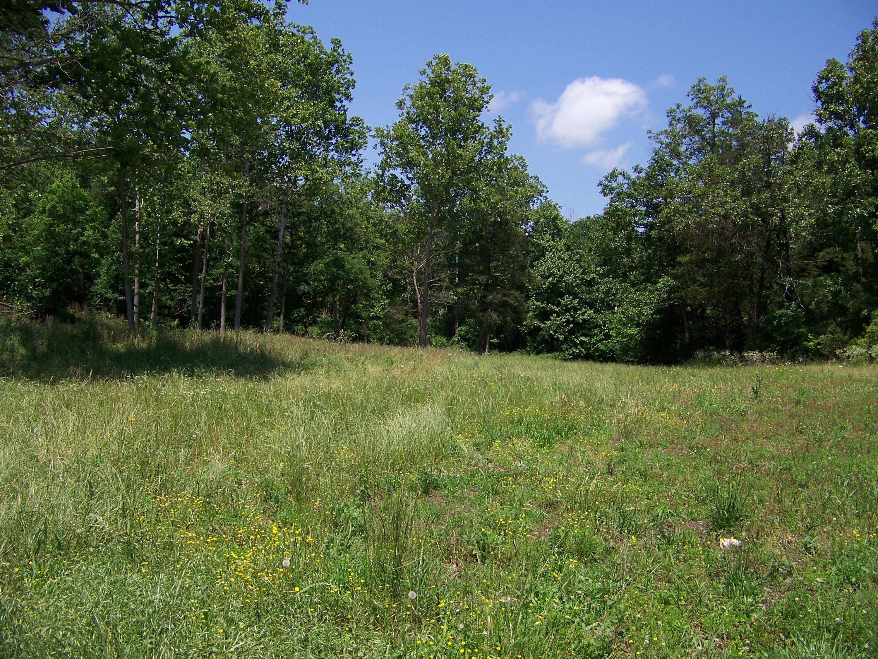 1452 County Road 542 Property Photo 68