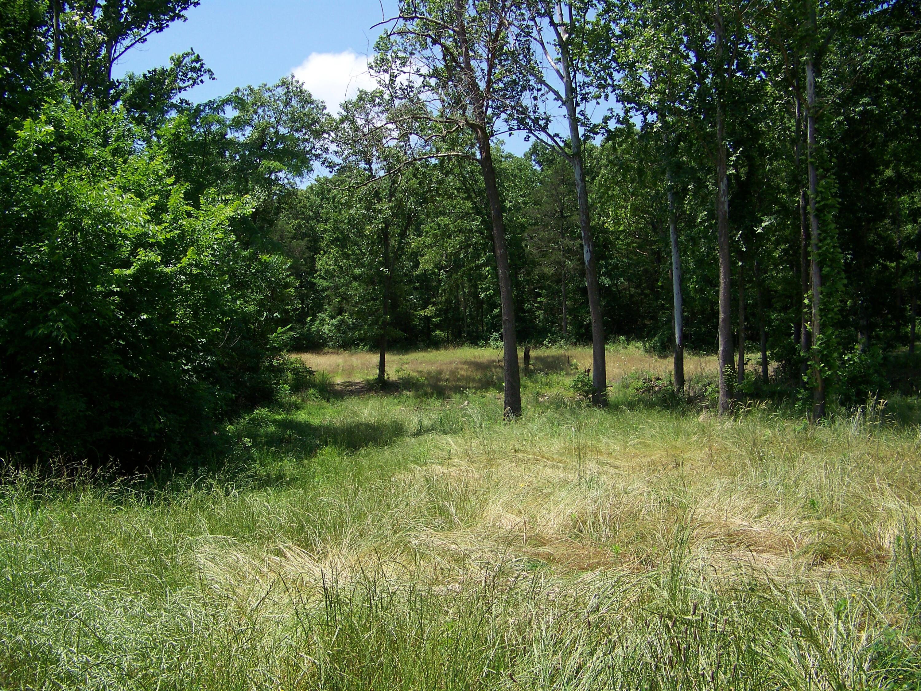 1452 County Road 542 Property Photo 69
