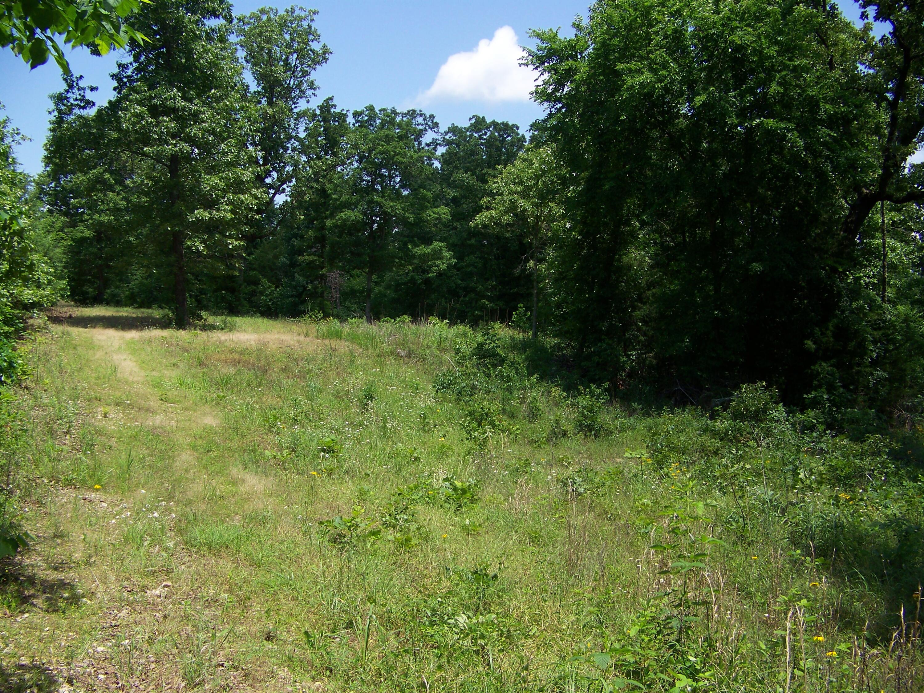 1452 County Road 542 Property Photo 72