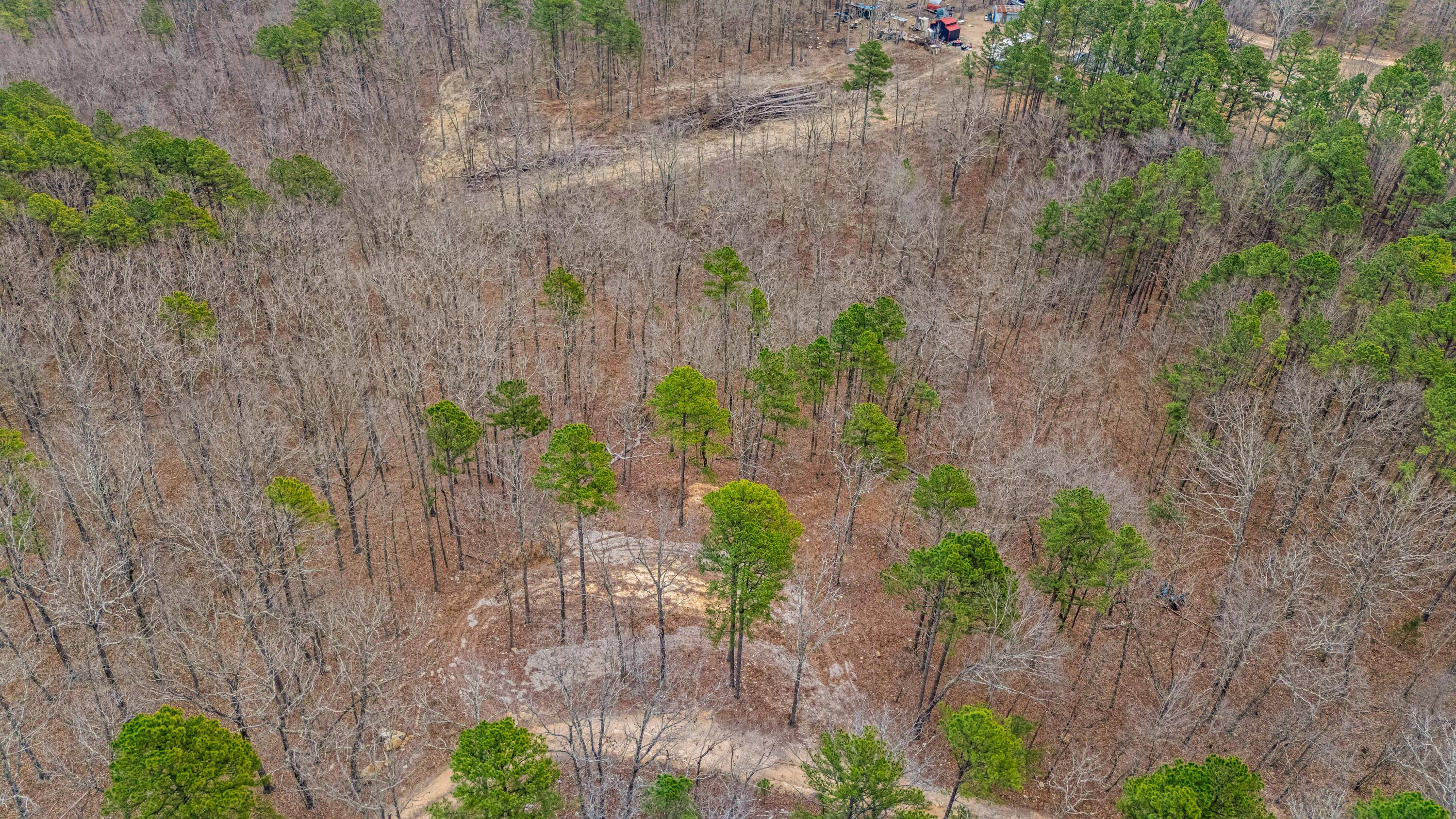 467 Timberline Road Property Photo 4