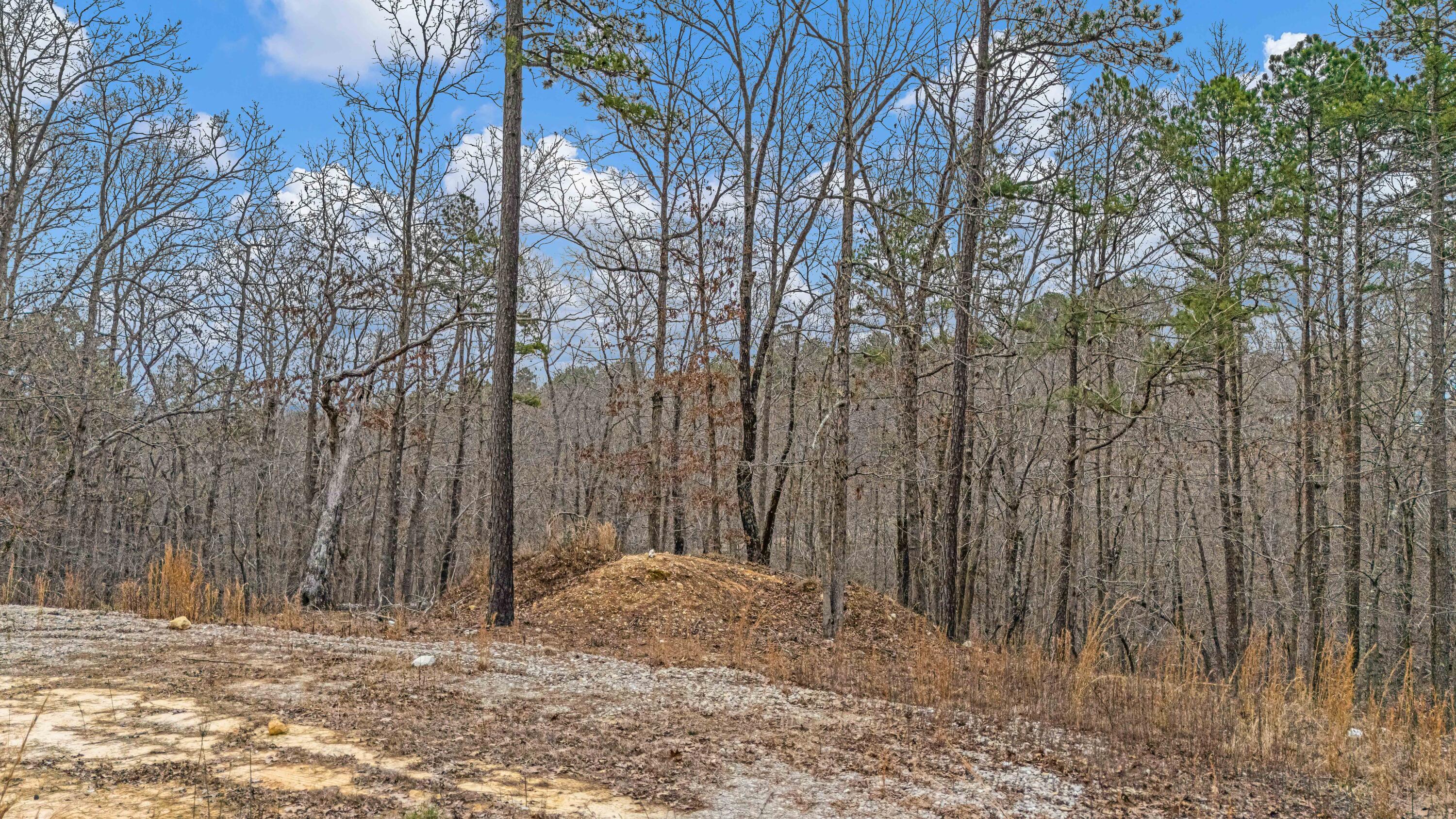 467 Timberline Road Property Photo 5