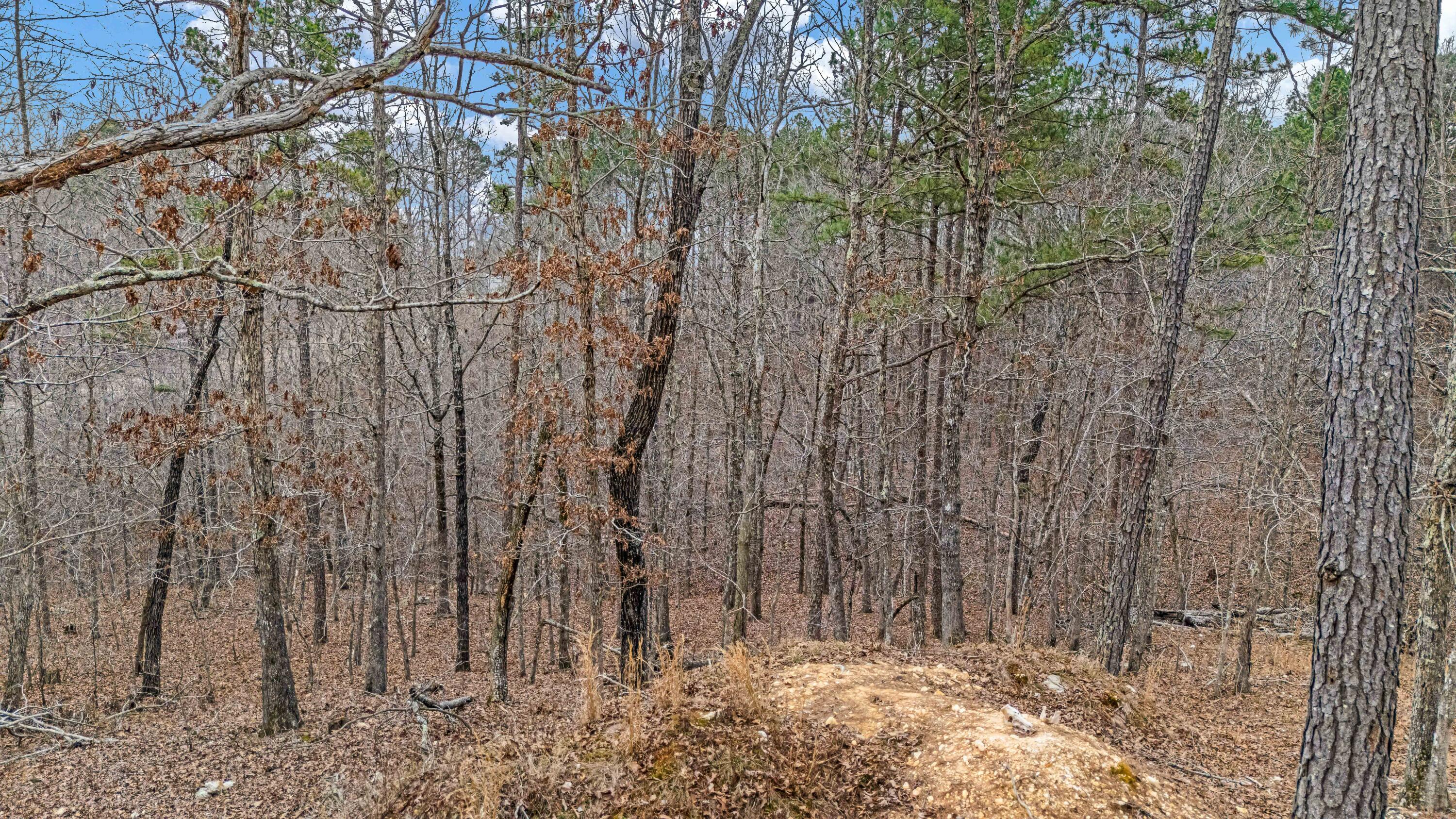 467 Timberline Road Property Photo 6