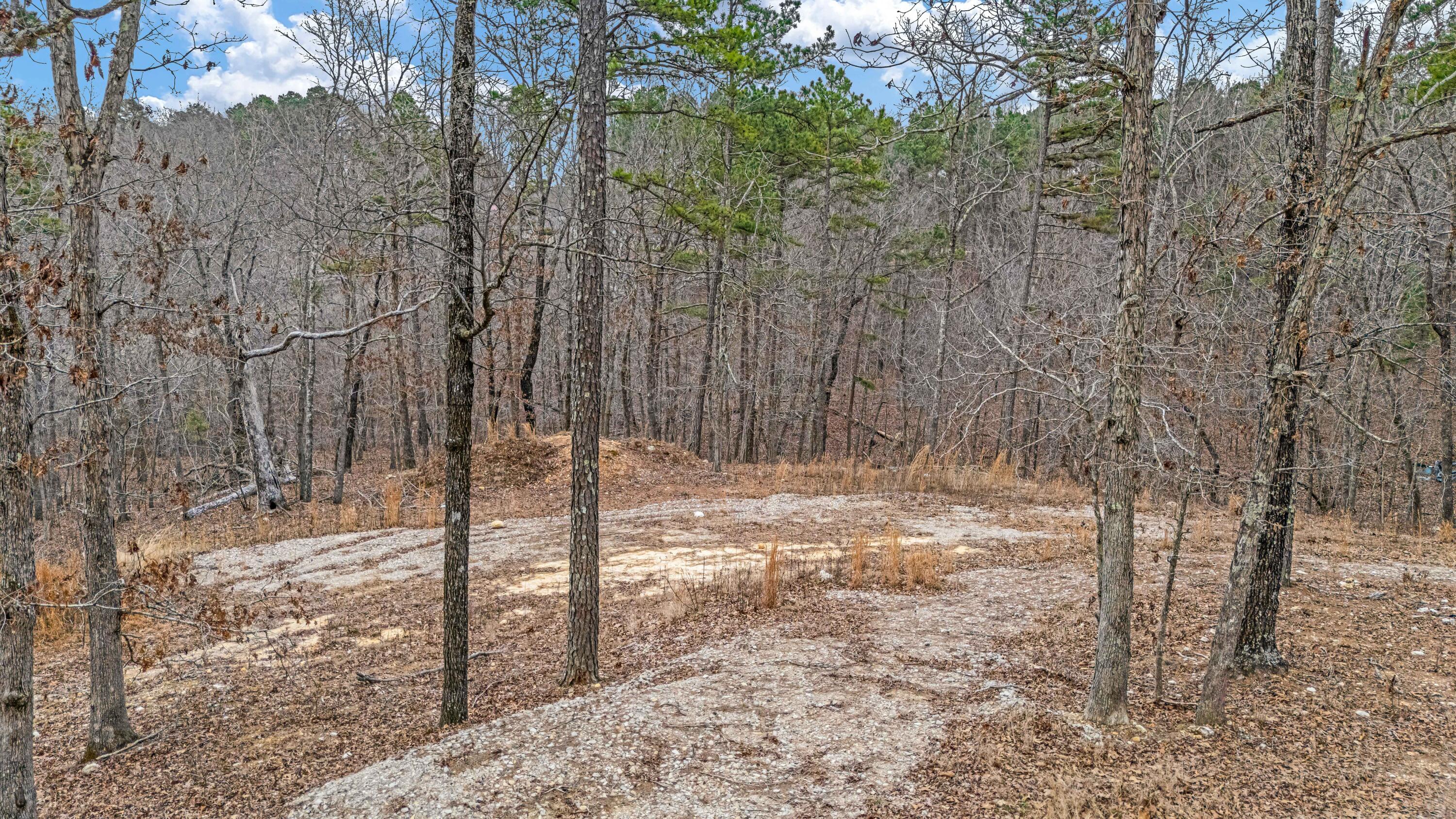 467 Timberline Road Property Photo 7