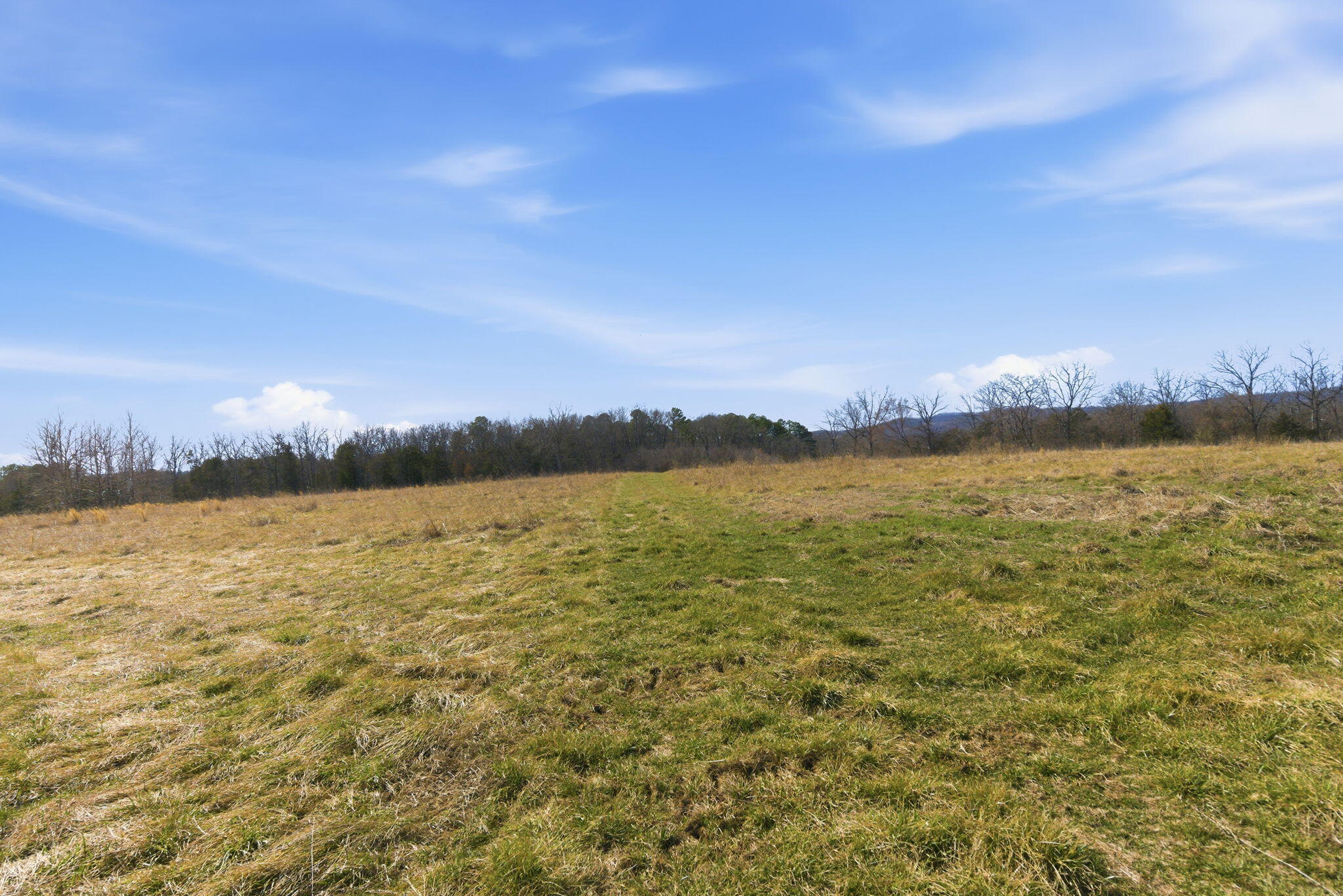 000 State Highway D Tract 2 Property Photo 4