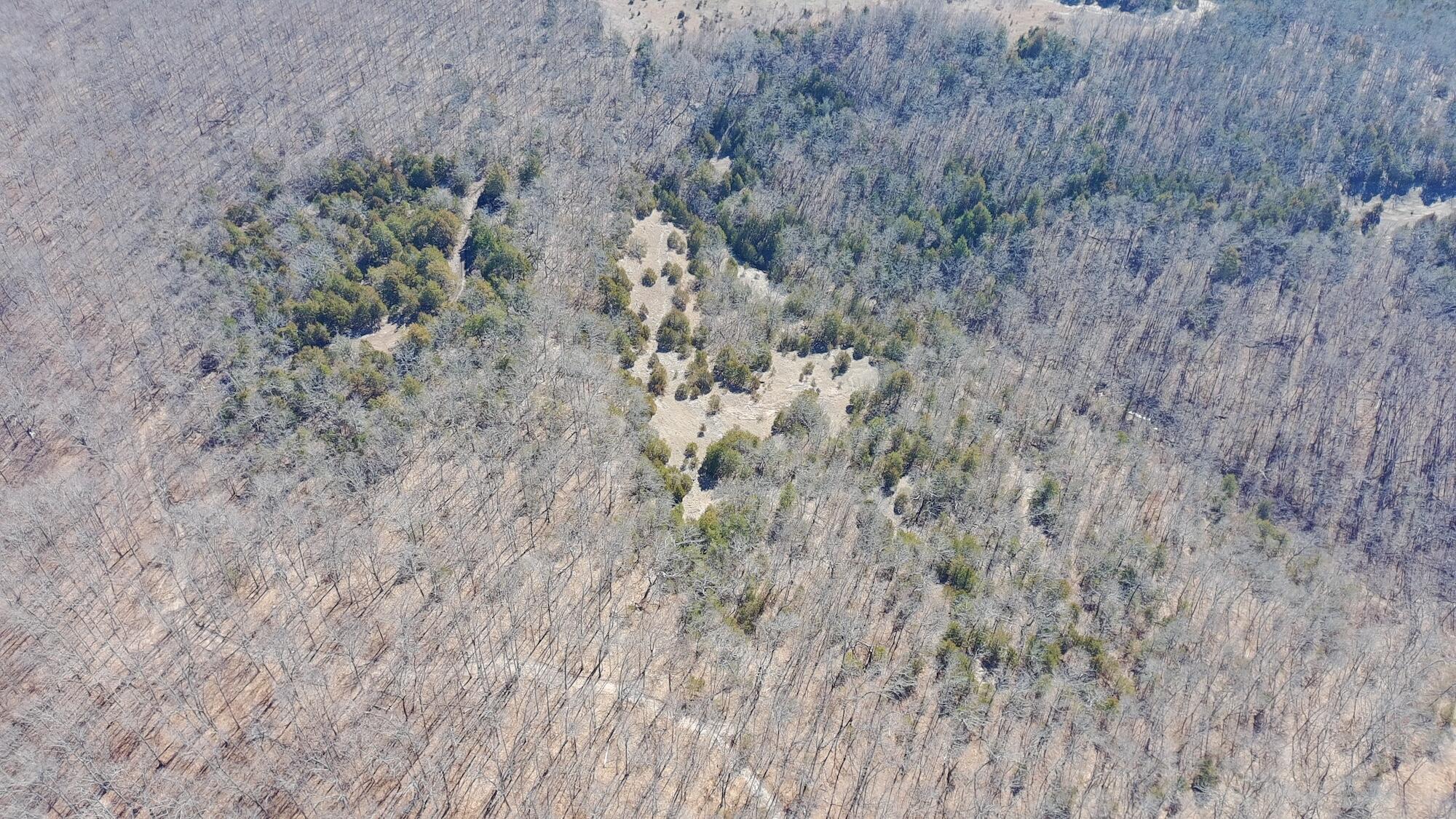 Rt 1 County Rd 14-531 Property Photo 2