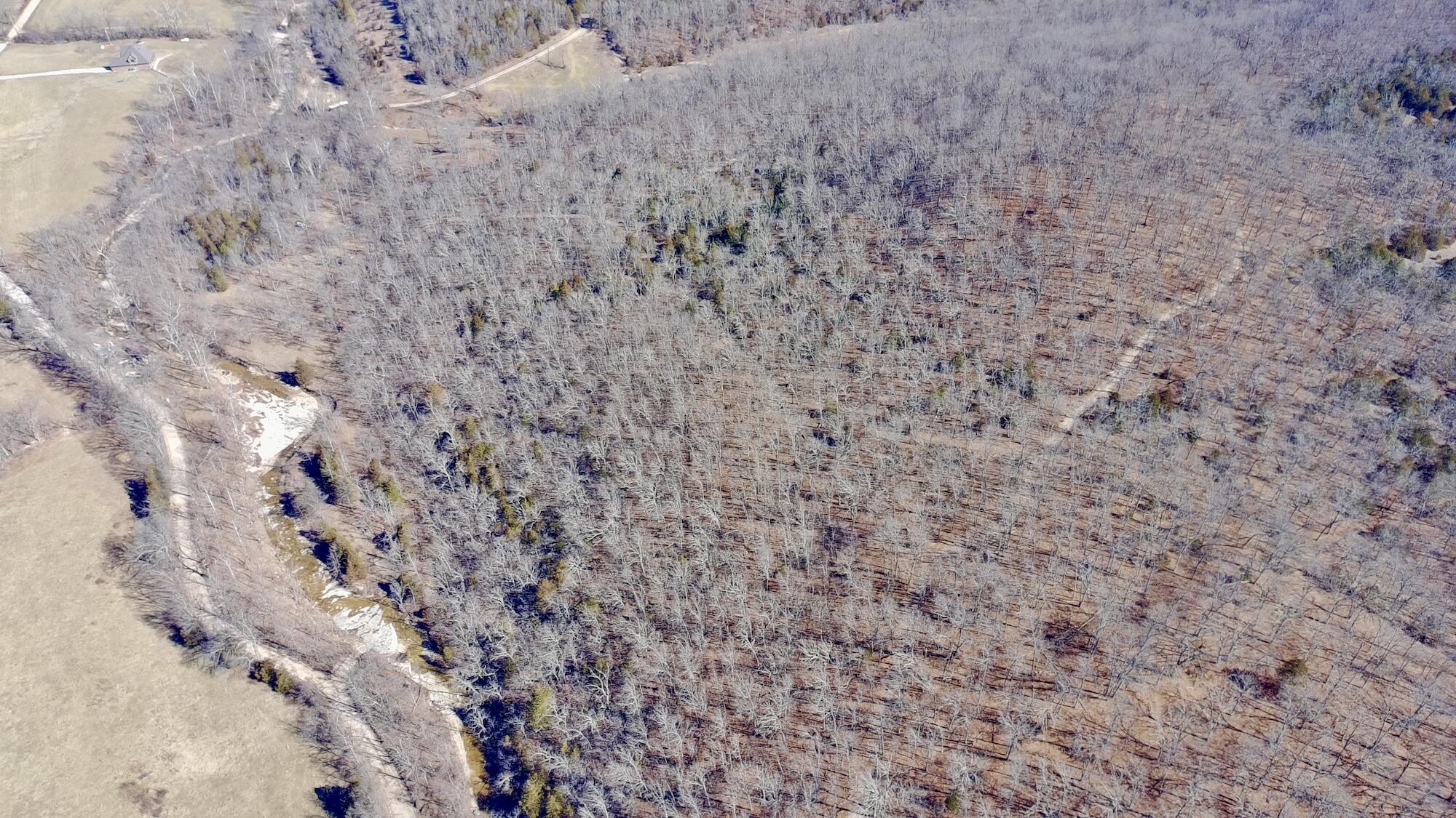 Rt 1 County Rd 14-531 Property Photo 6