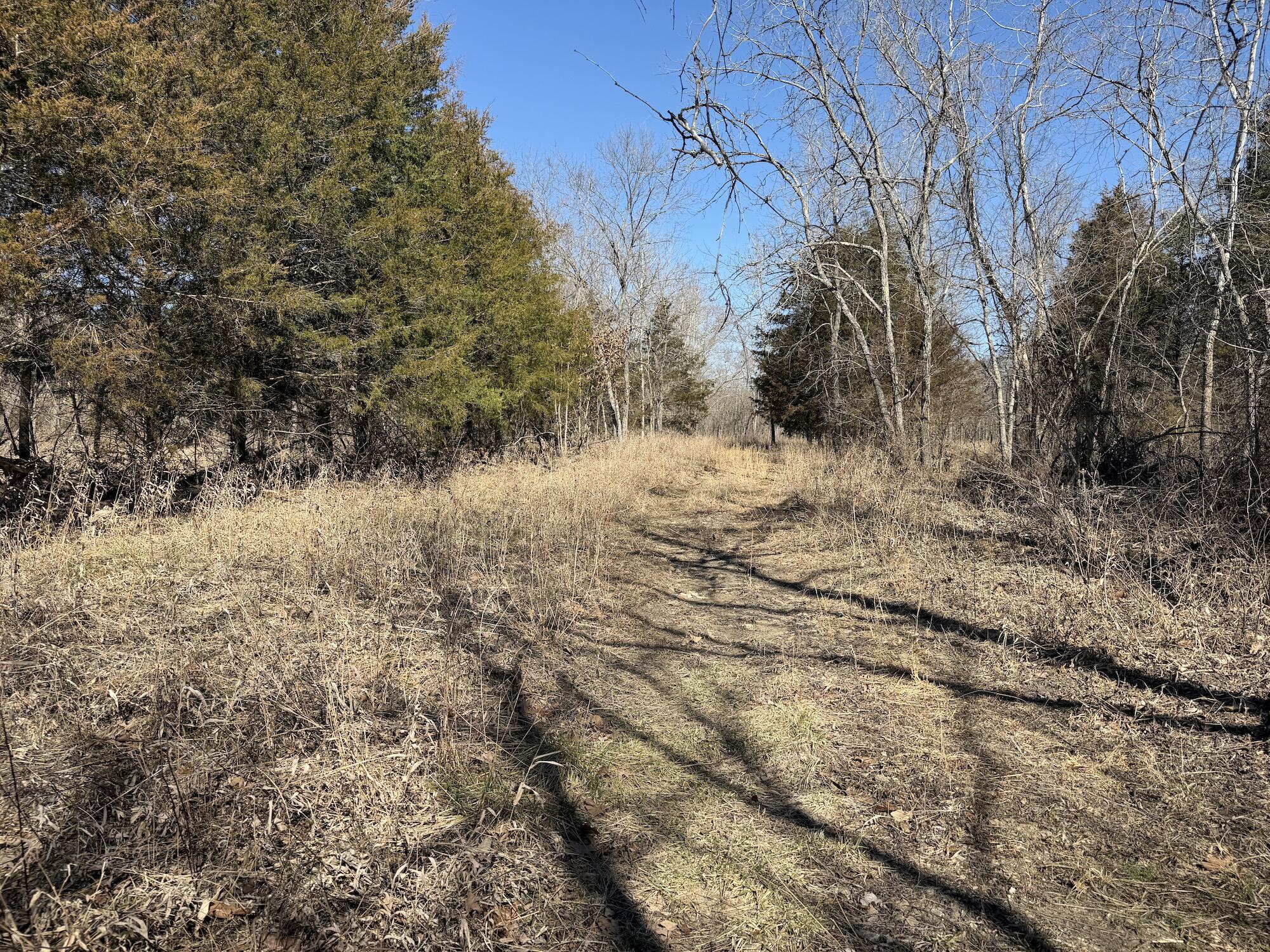 Rt 1 County Rd 14-531 Property Photo 17