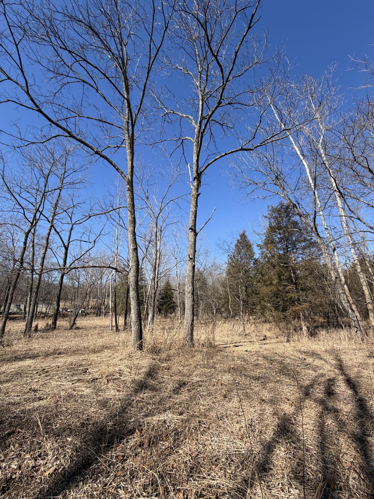 Rt 1 County Rd 14-531 Property Photo 19