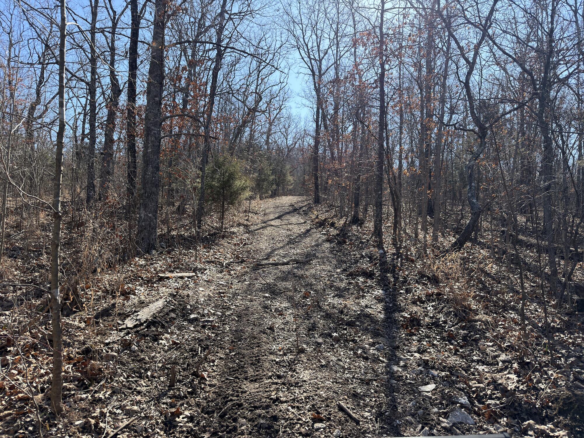Rt 1 County Rd 14-531 Property Photo 21