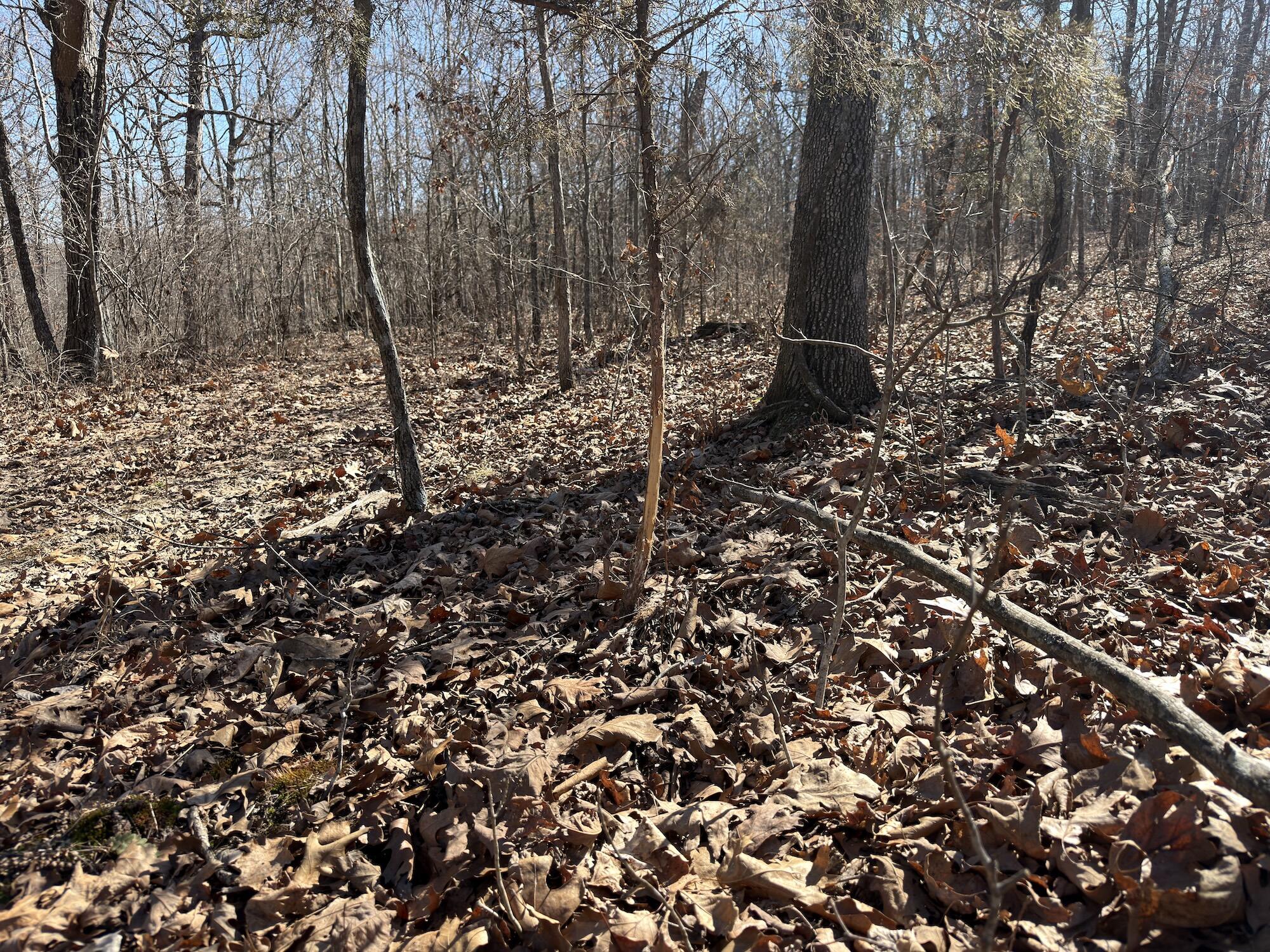 Rt 1 County Rd 14-531 Property Photo 29