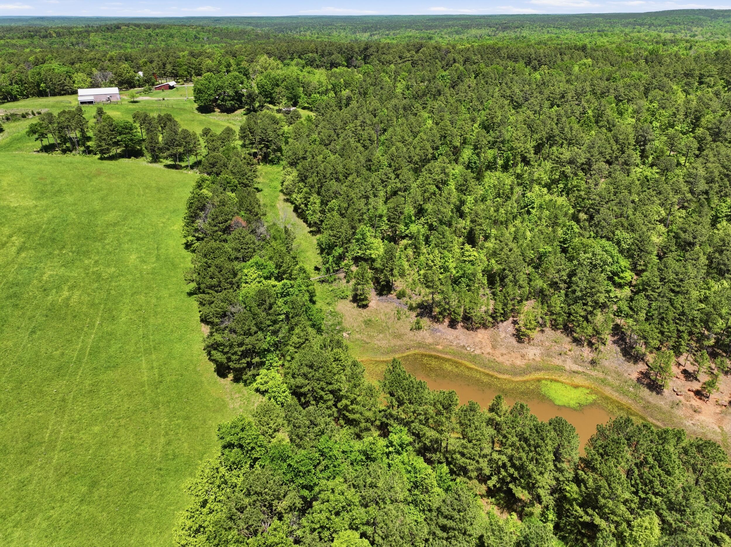 15556 Slab Spring Drive Property Photo 43