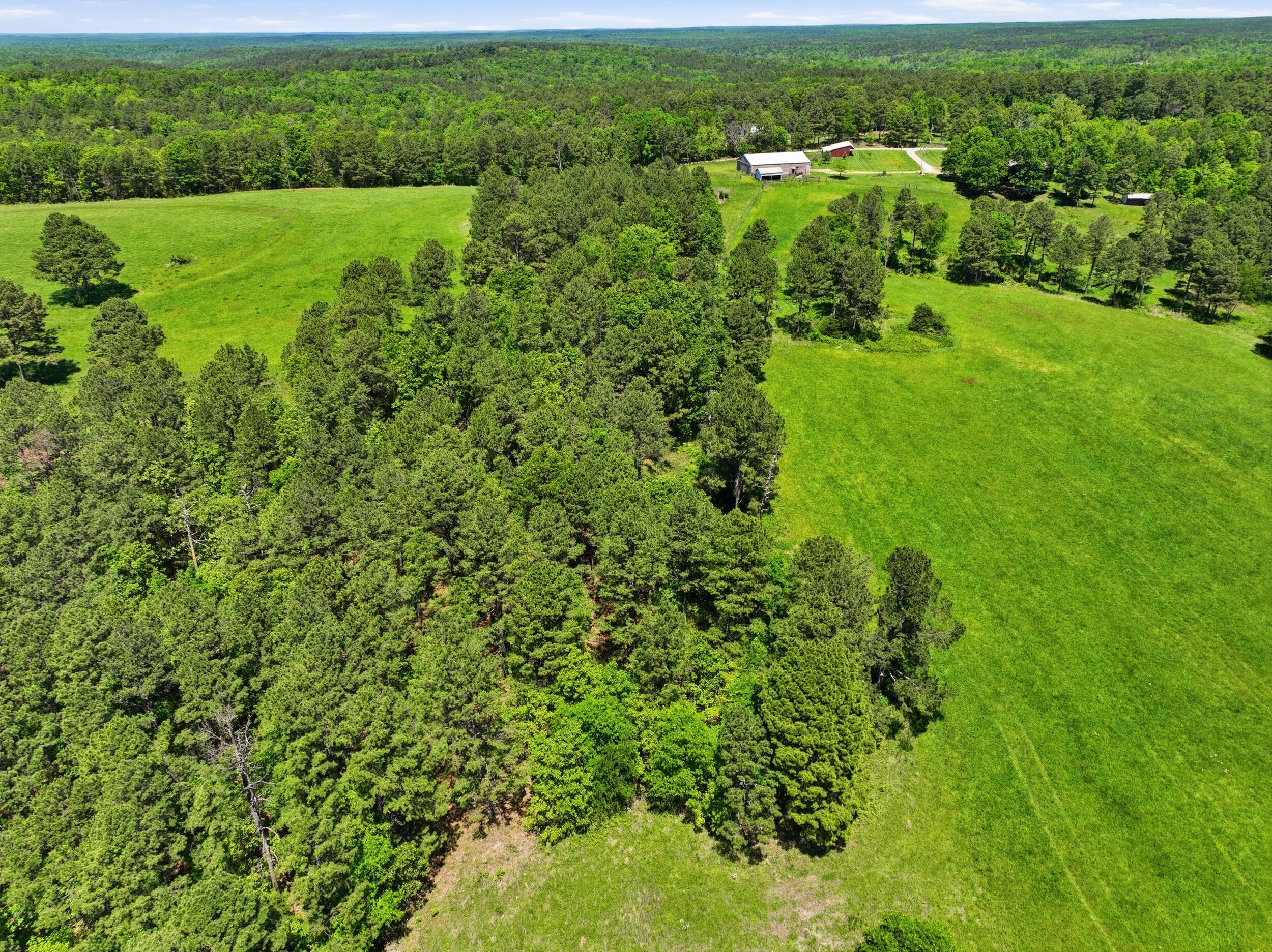 15556 Slab Spring Drive Property Photo 45