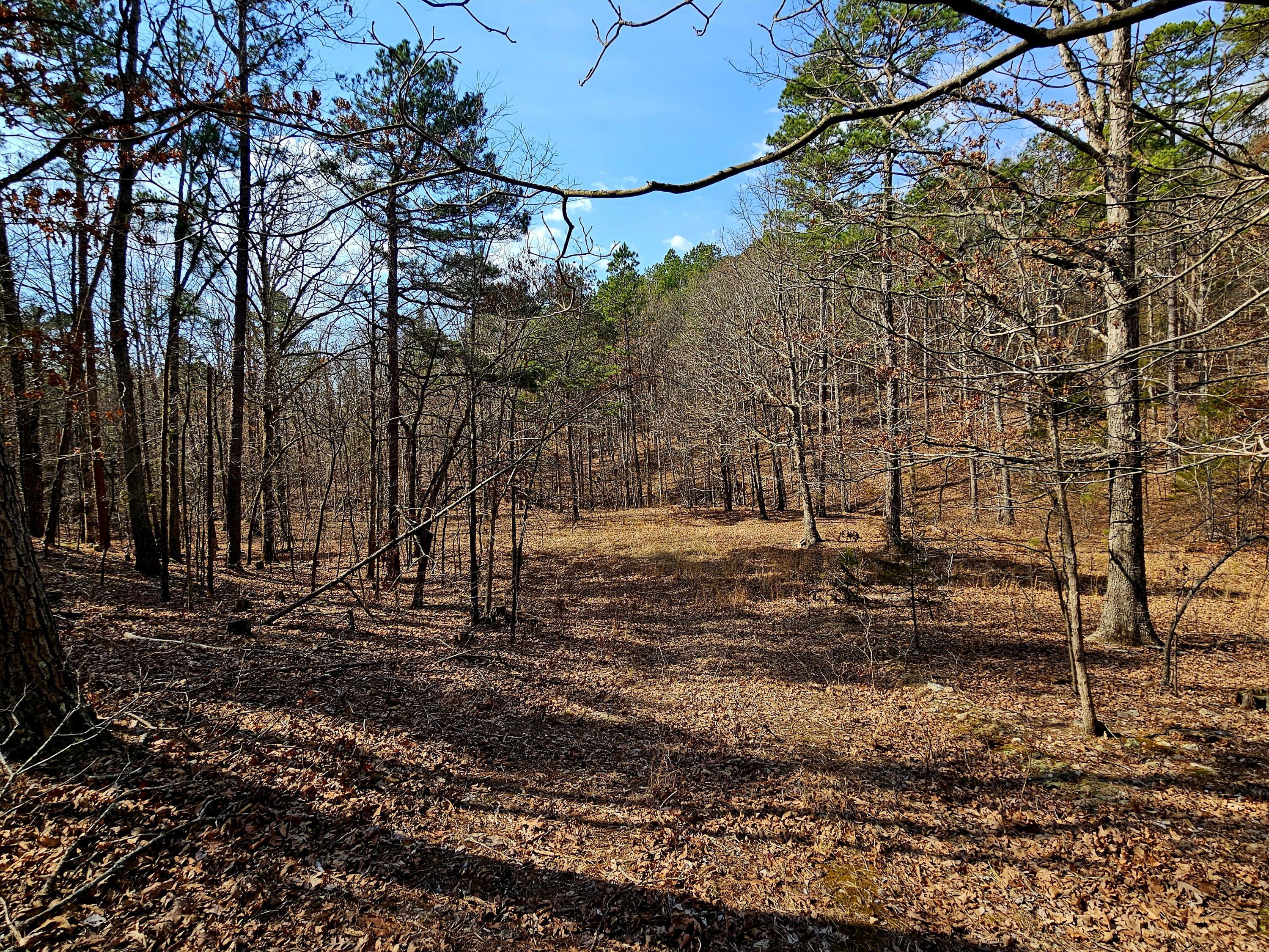 15556 Slab Spring Drive Property Photo 61