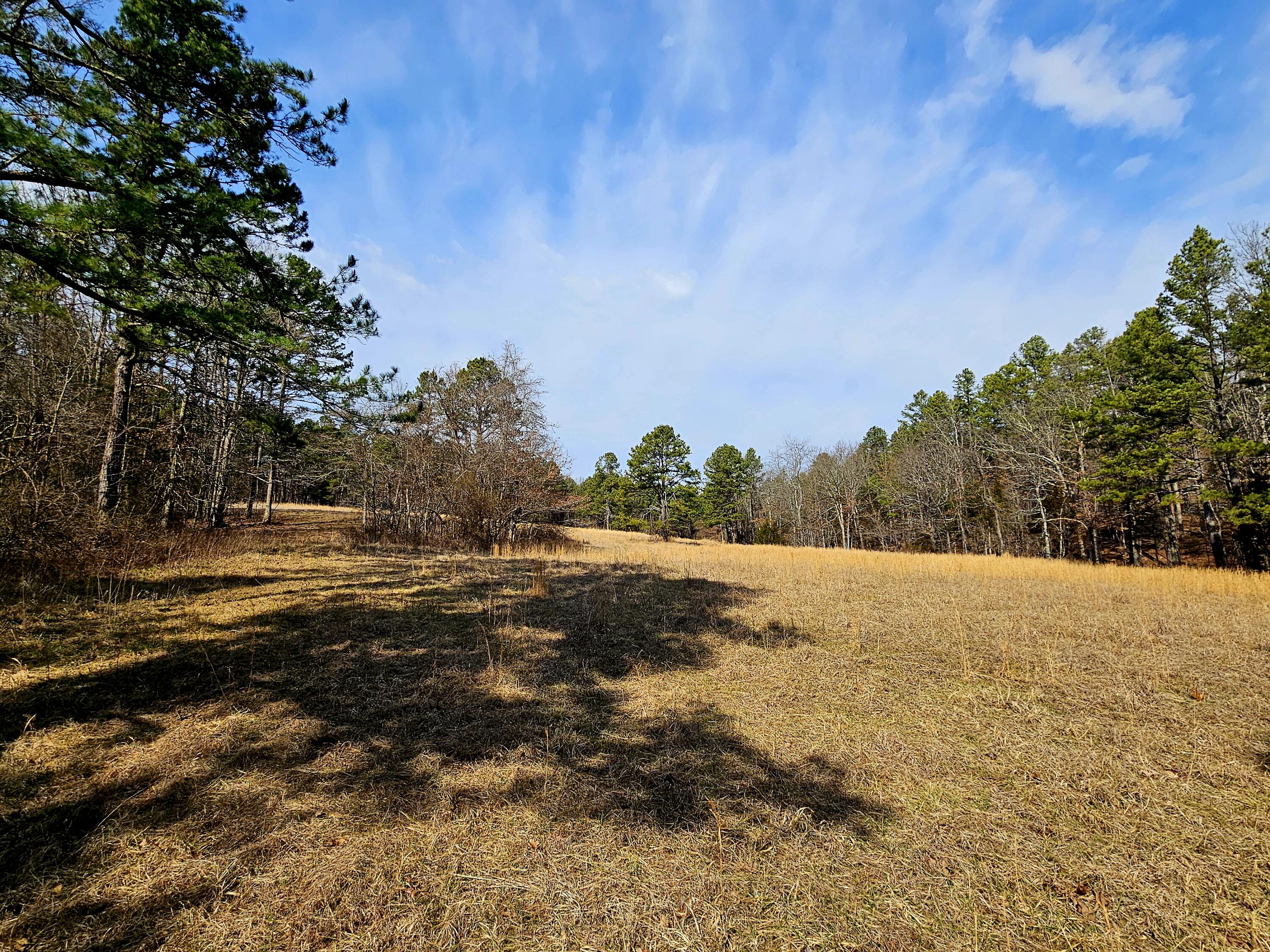 15556 Slab Spring Drive Property Photo 62