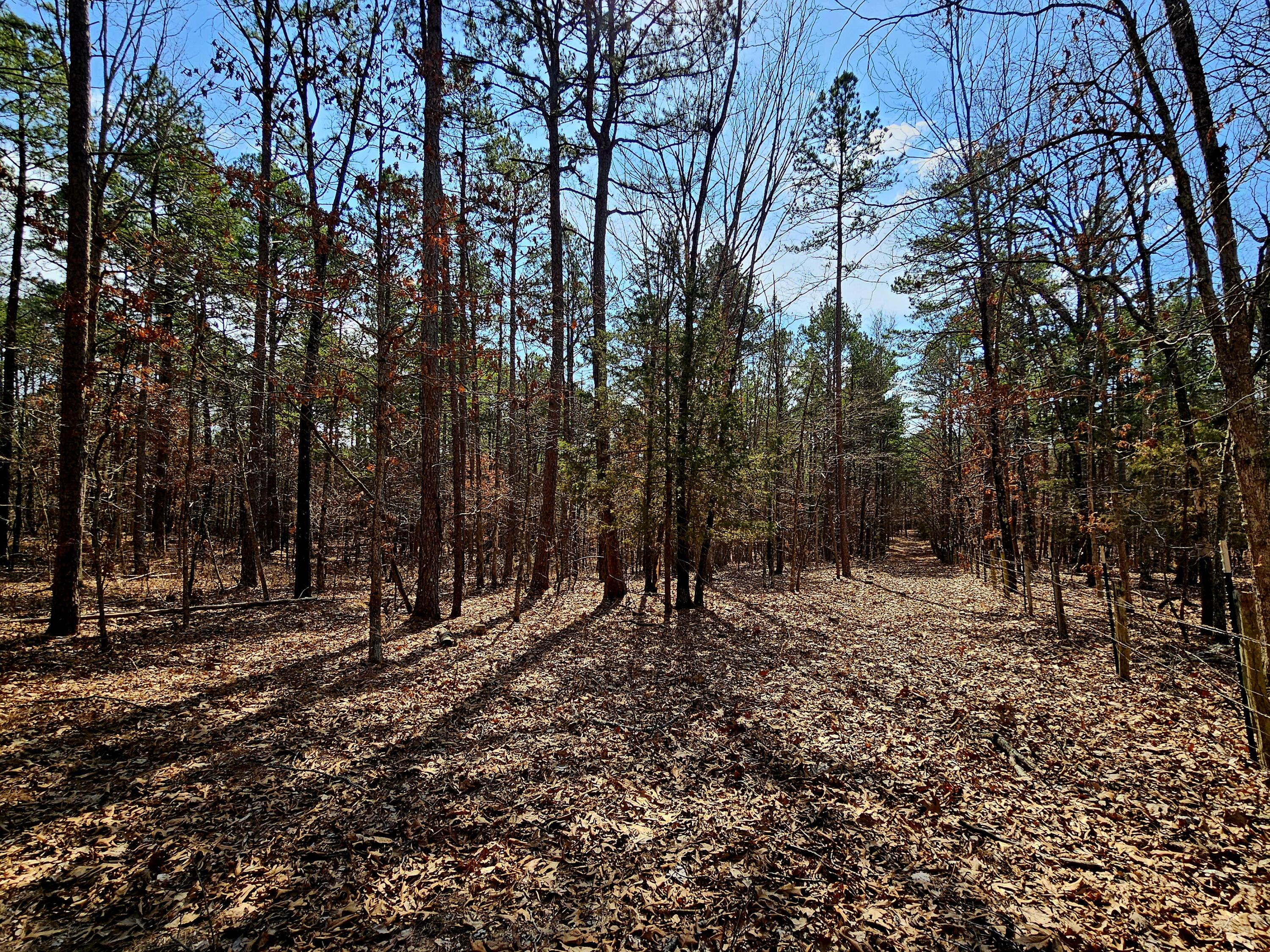 15556 Slab Spring Drive Property Photo 63