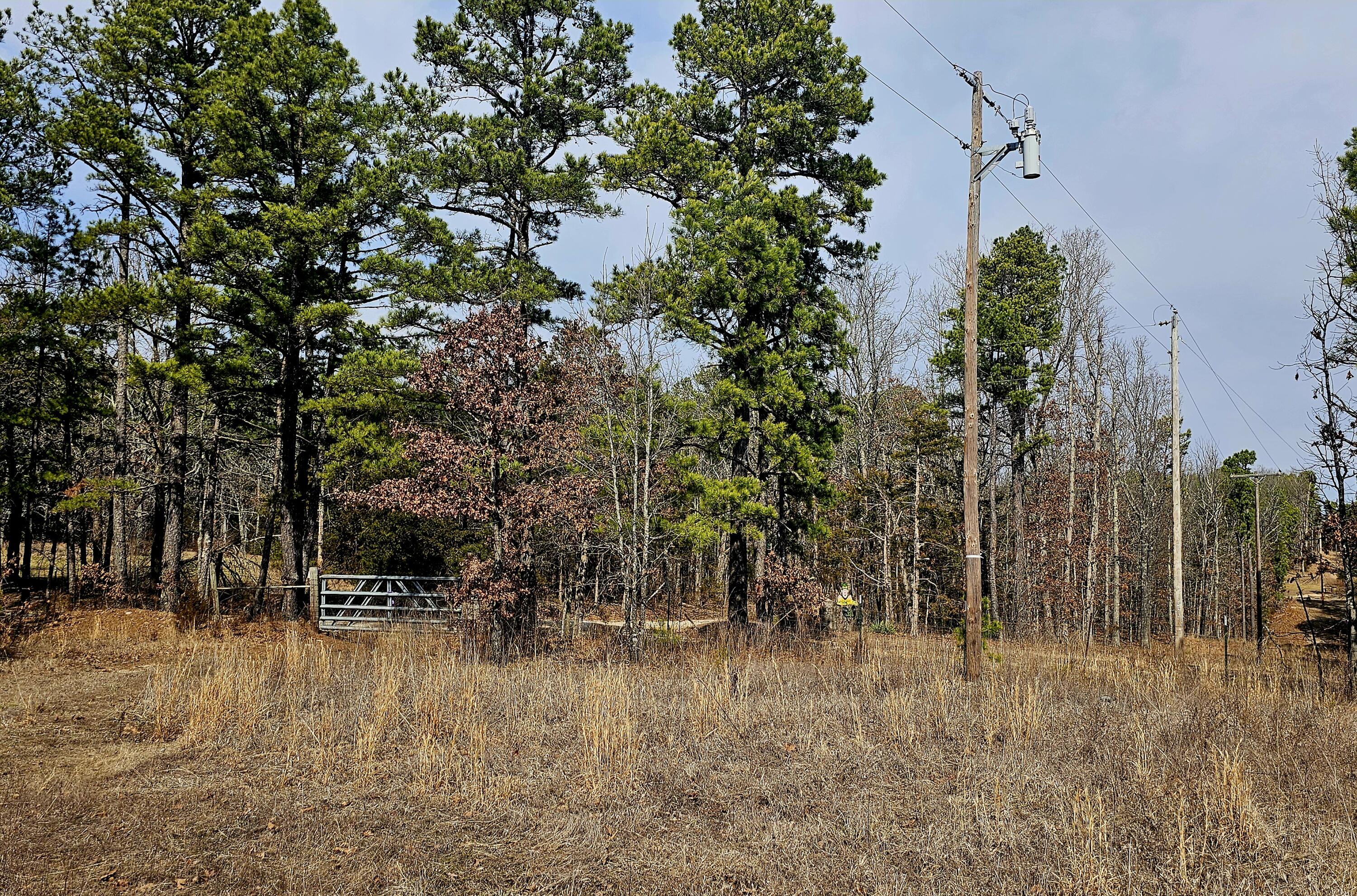15556 Slab Spring Drive Property Photo 66
