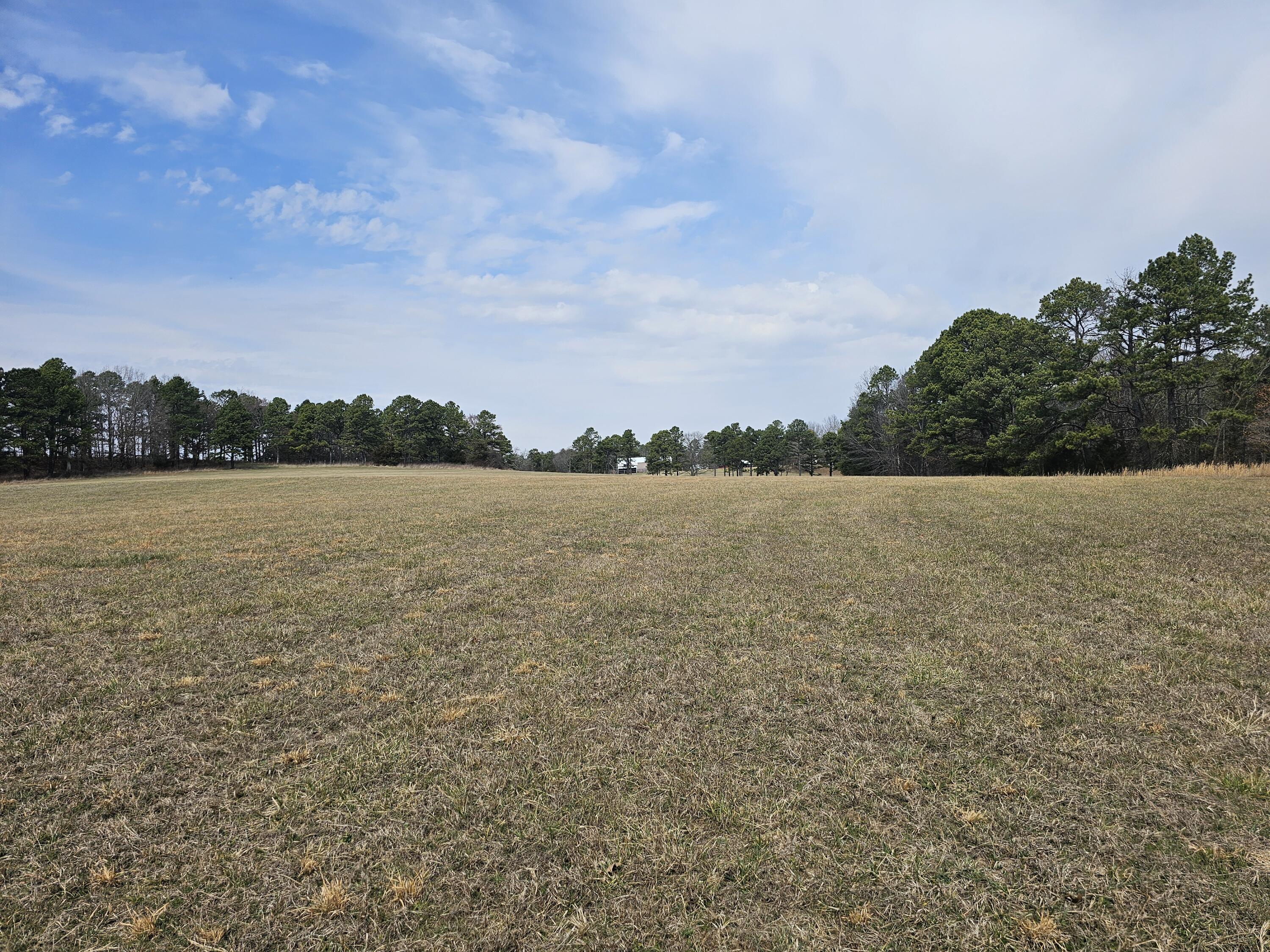 15556 Slab Spring Drive Property Photo 67