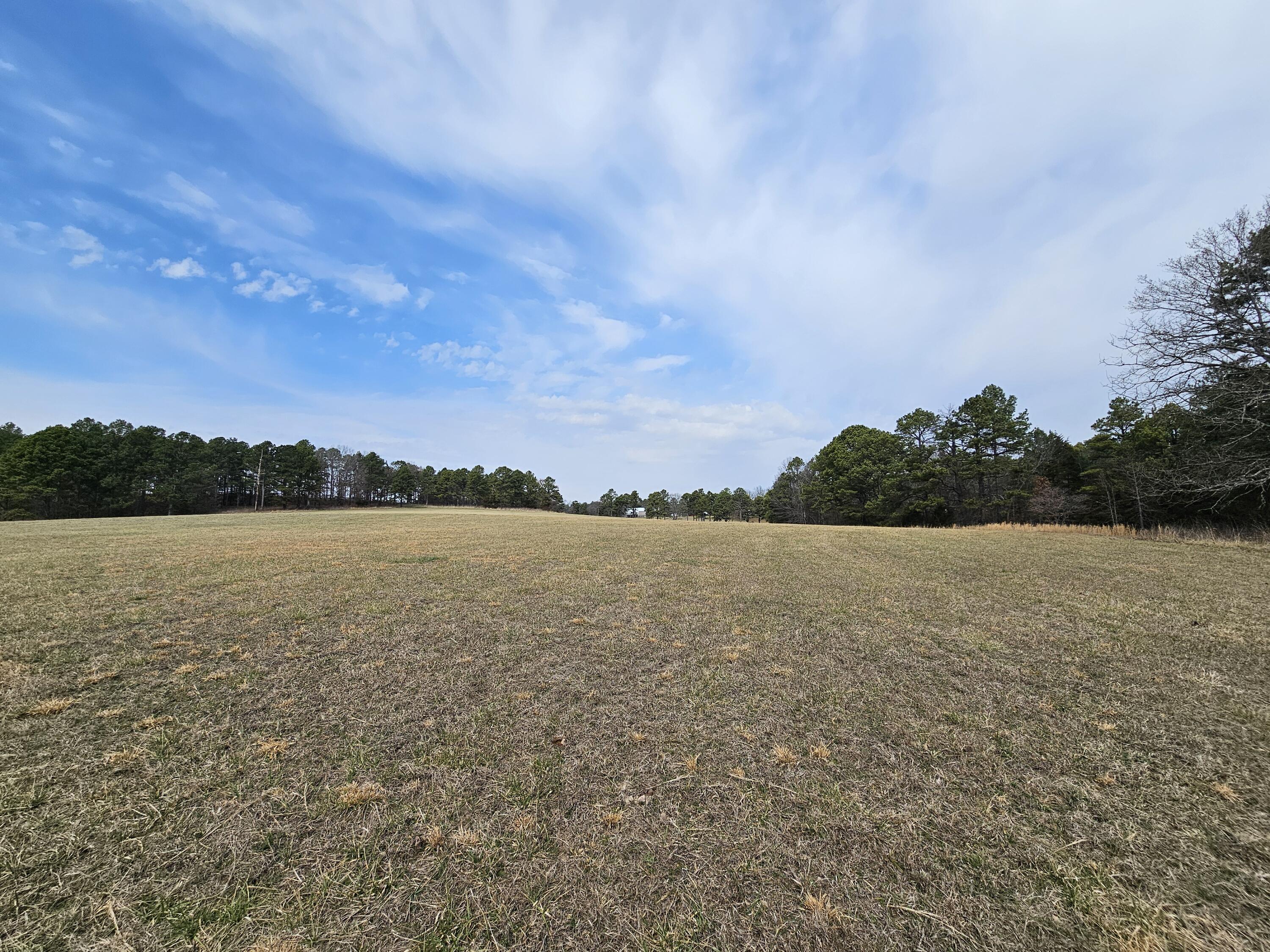 15556 Slab Spring Drive Property Photo 68