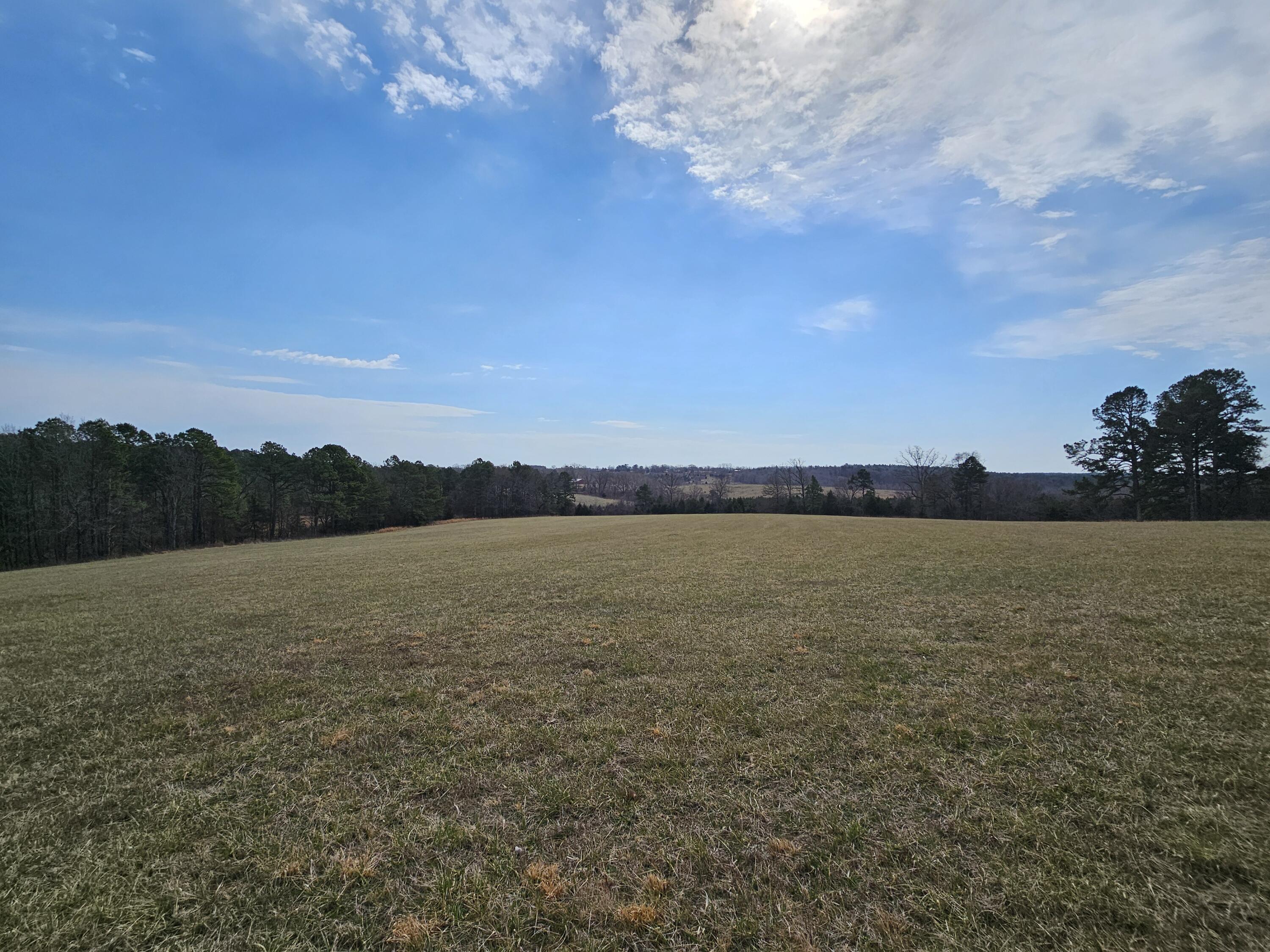 15556 Slab Spring Drive Property Photo 69