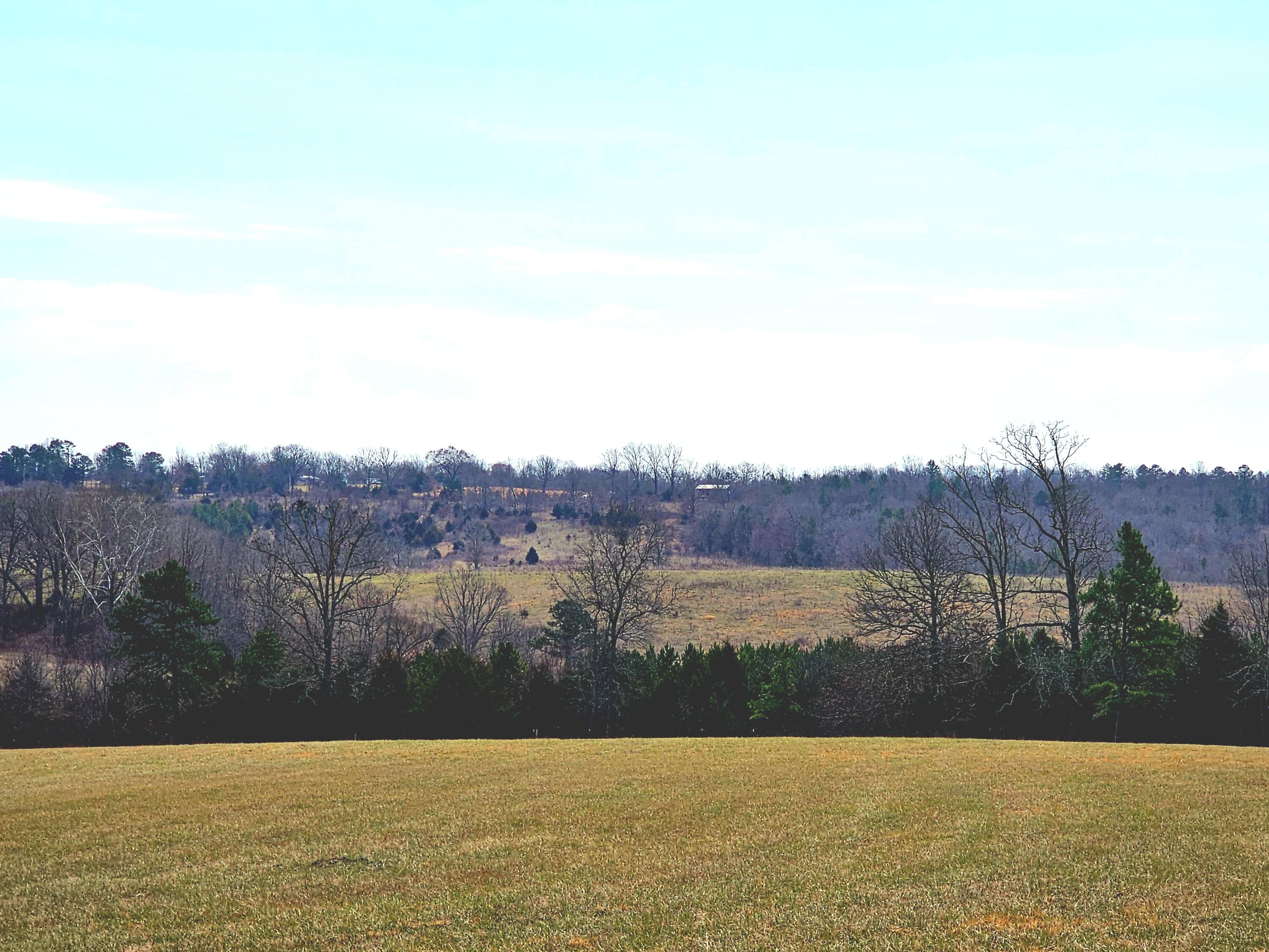 15556 Slab Spring Drive Property Photo 70