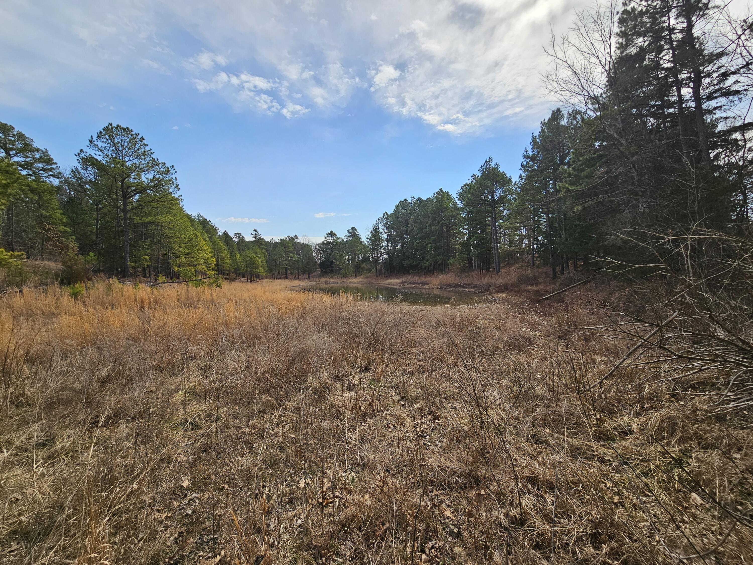 15556 Slab Spring Drive Property Photo 71