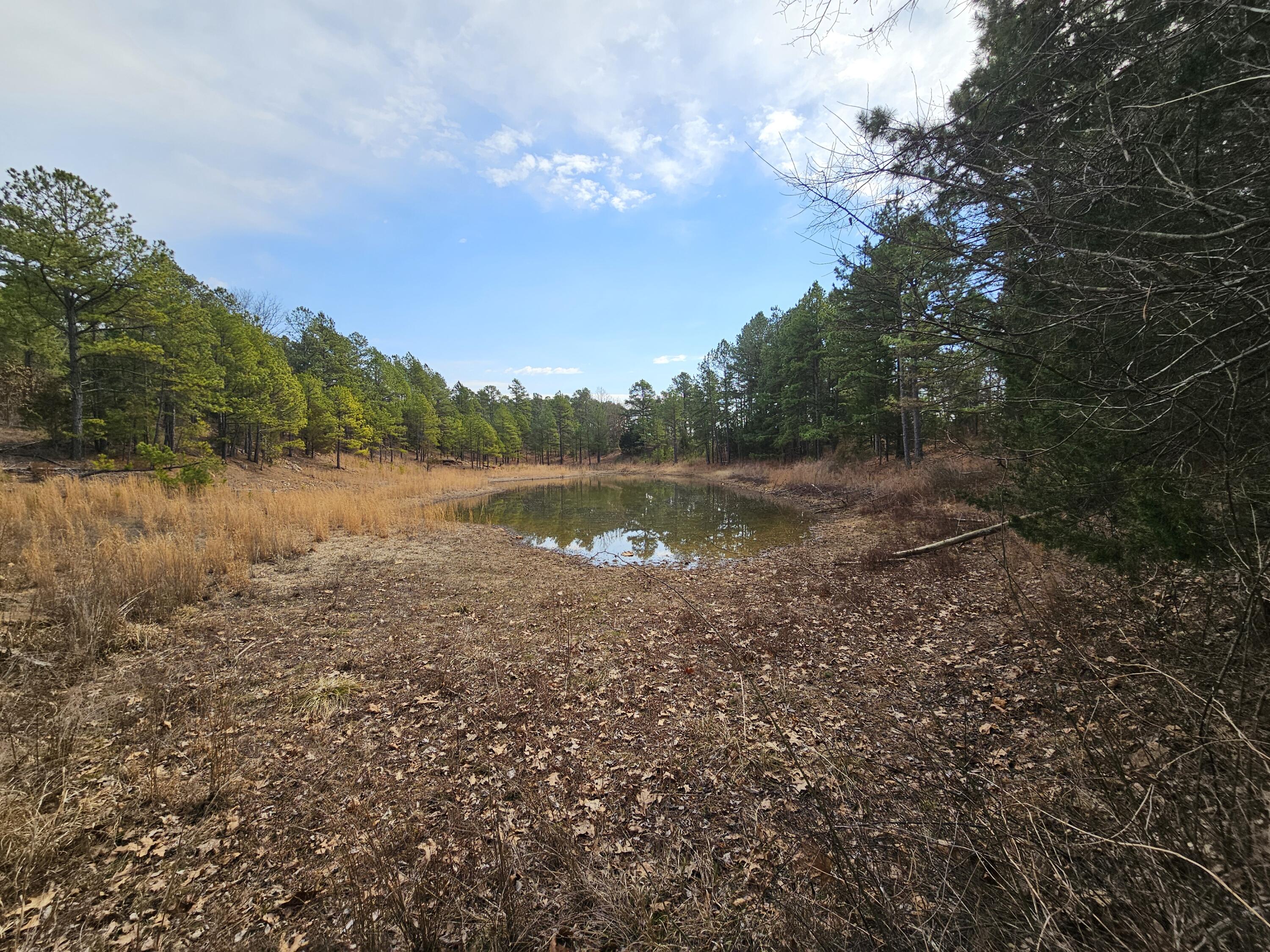 15556 Slab Spring Drive Property Photo 72