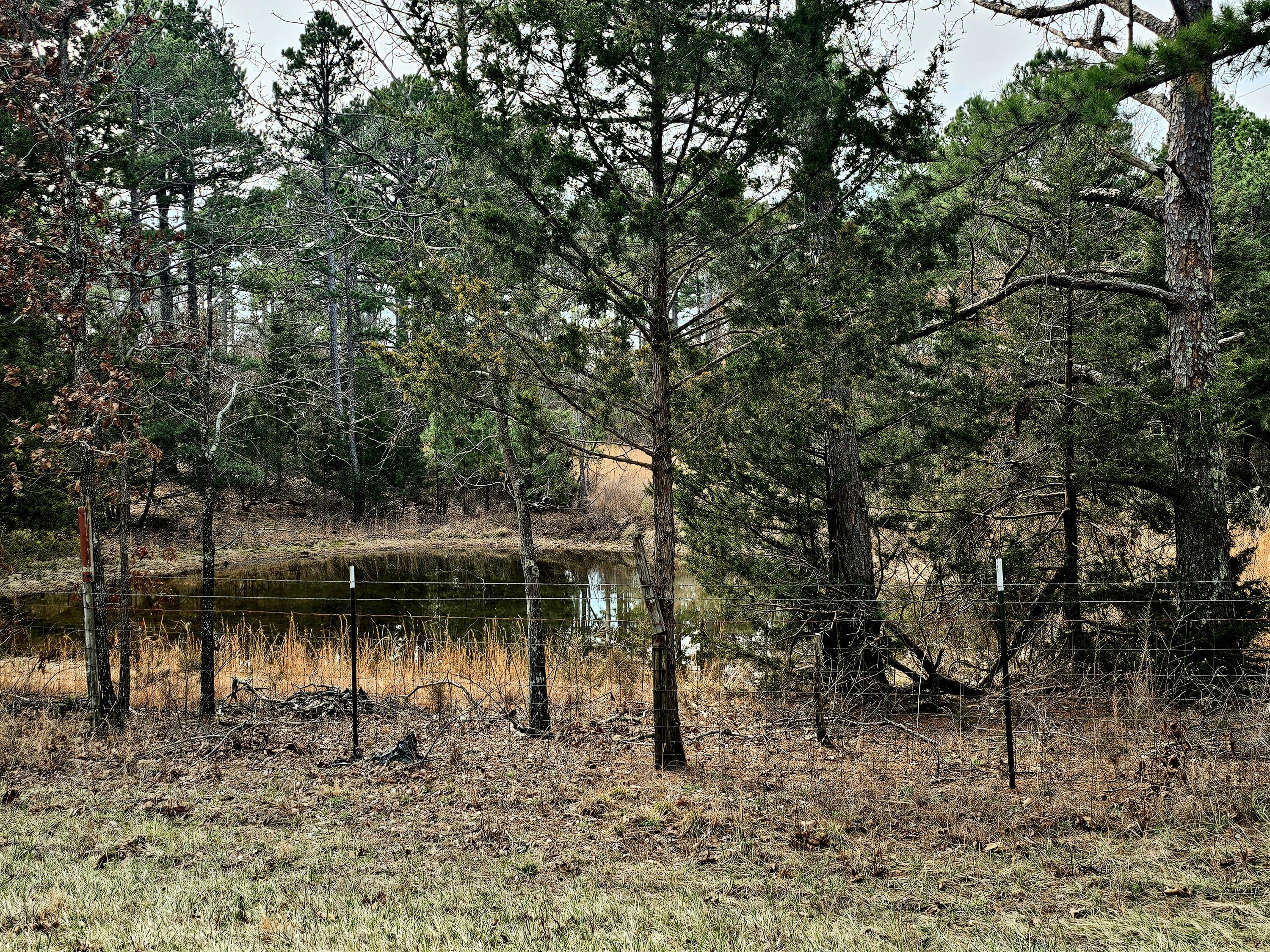 15556 Slab Spring Drive Property Photo 74