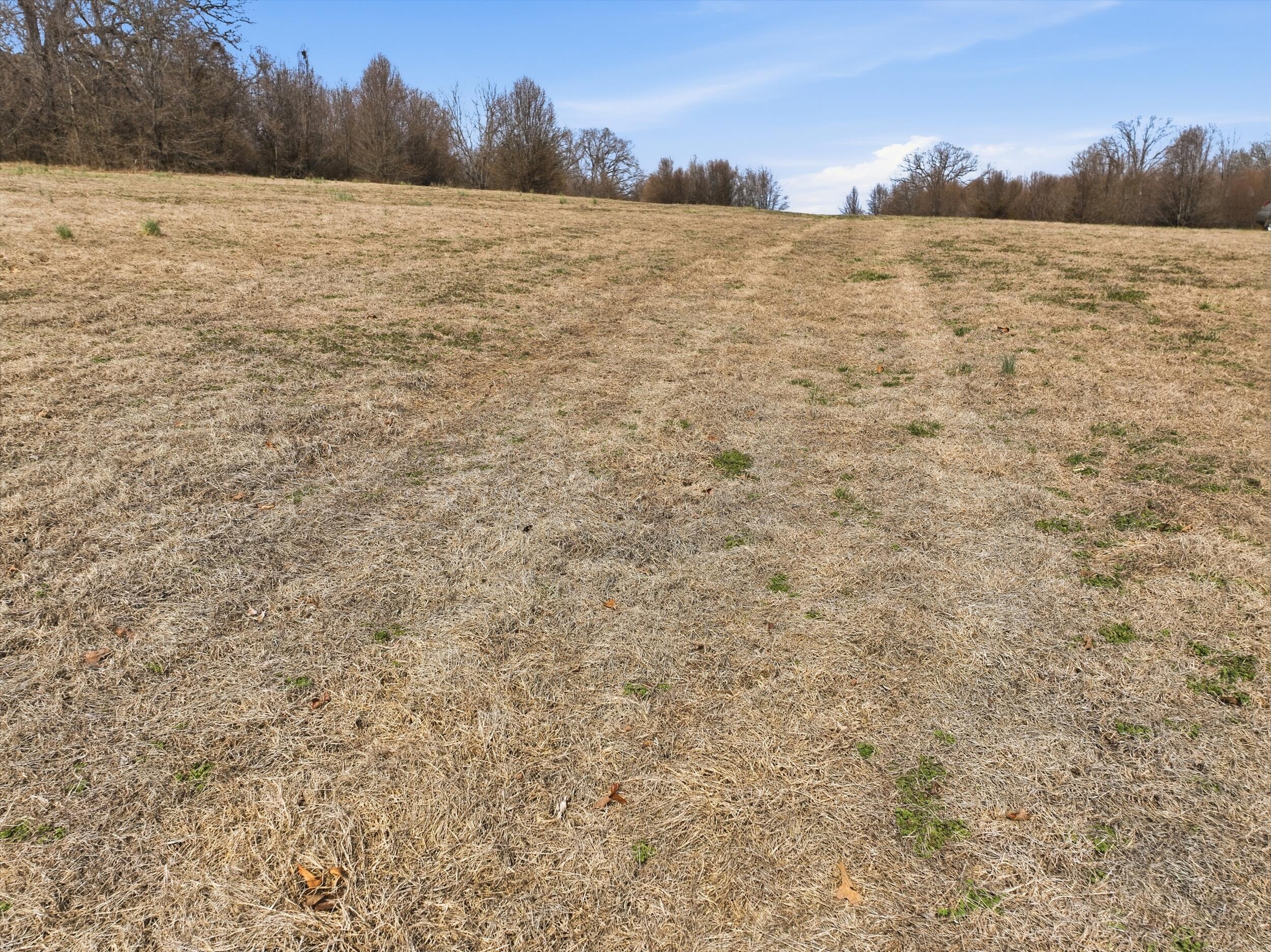 000 County Road 60-489 Property Photo 5