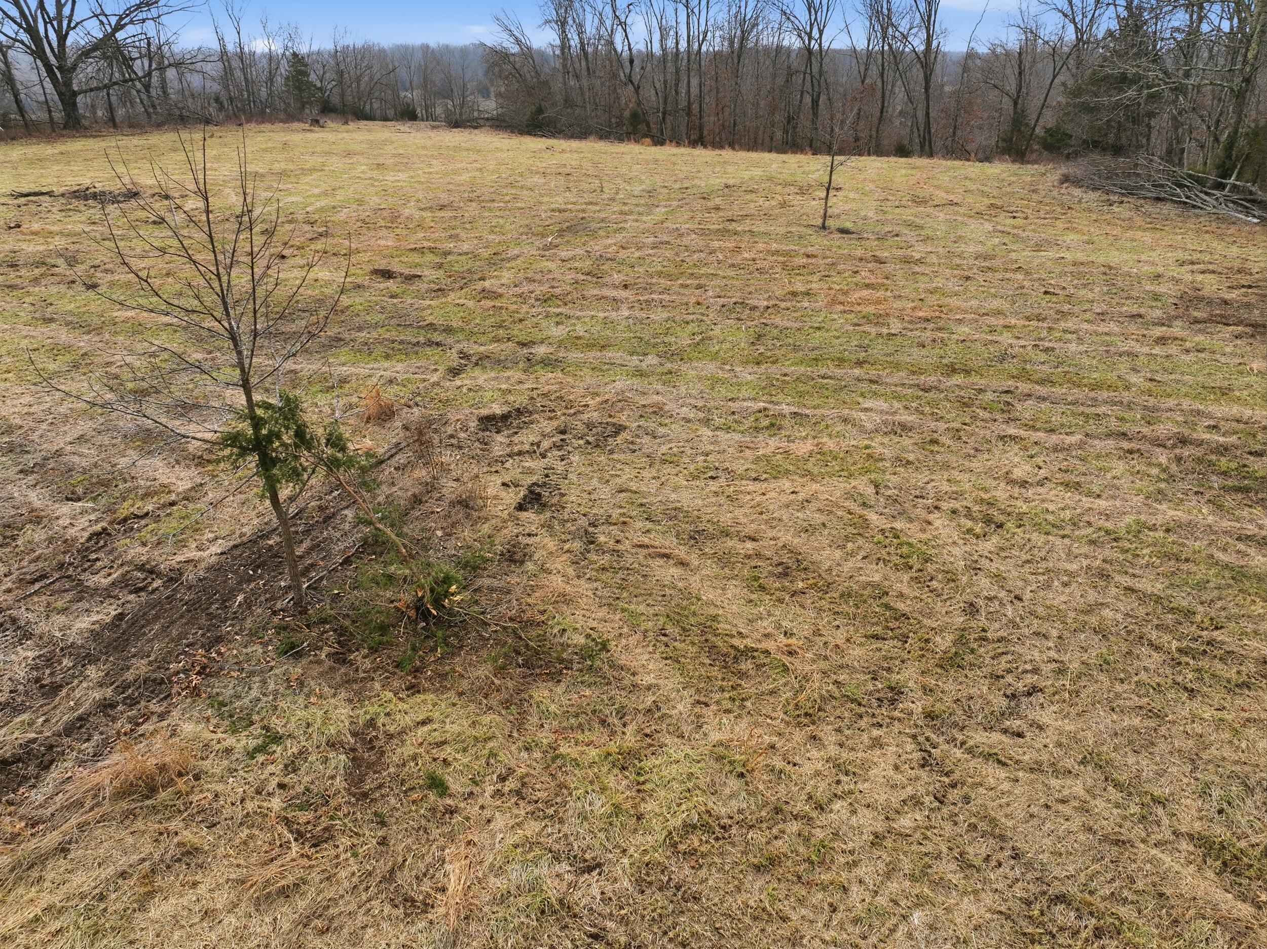 000 County Road 60-489 Property Photo 6