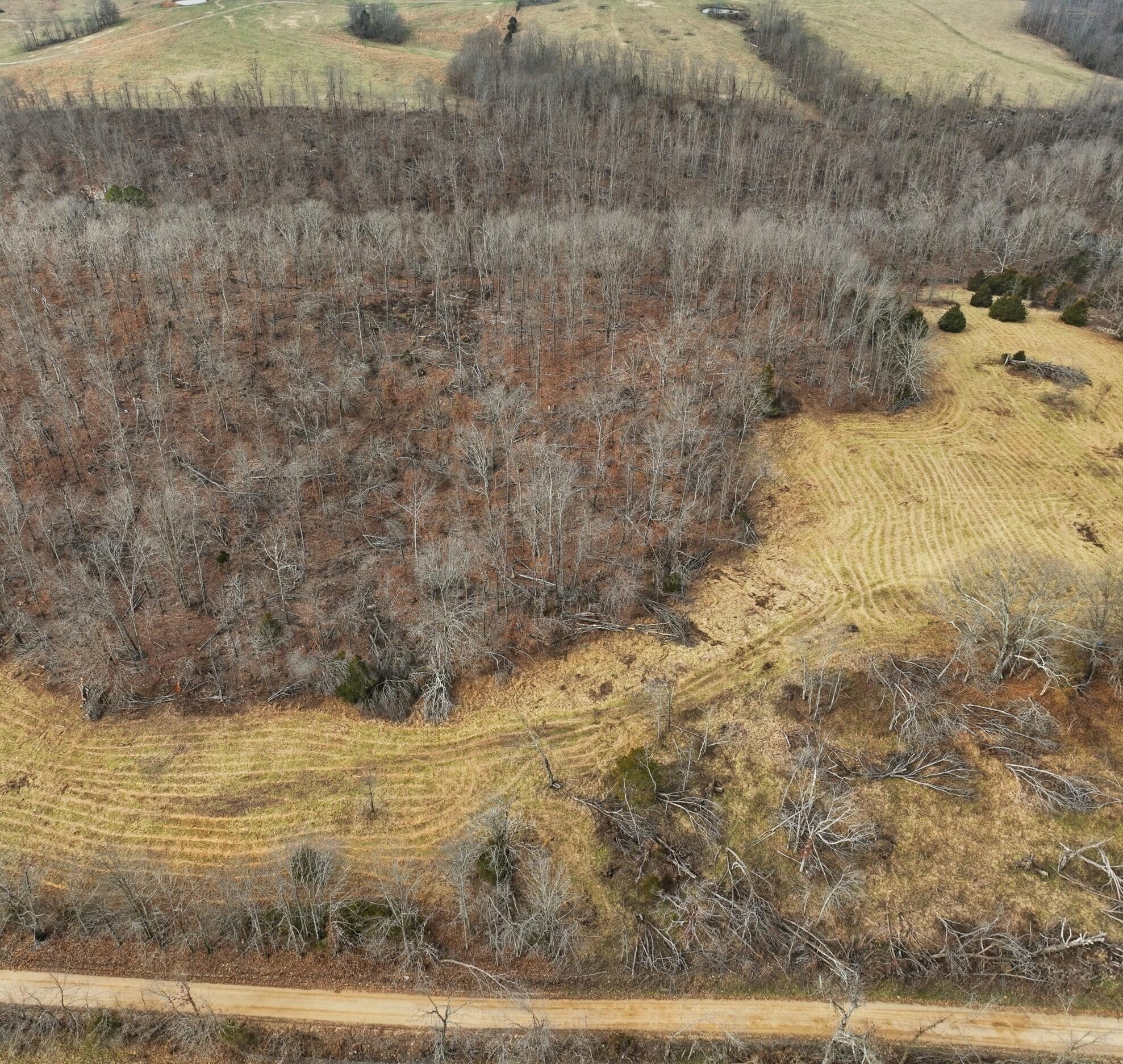 000 County Road 60-489 Property Photo 7