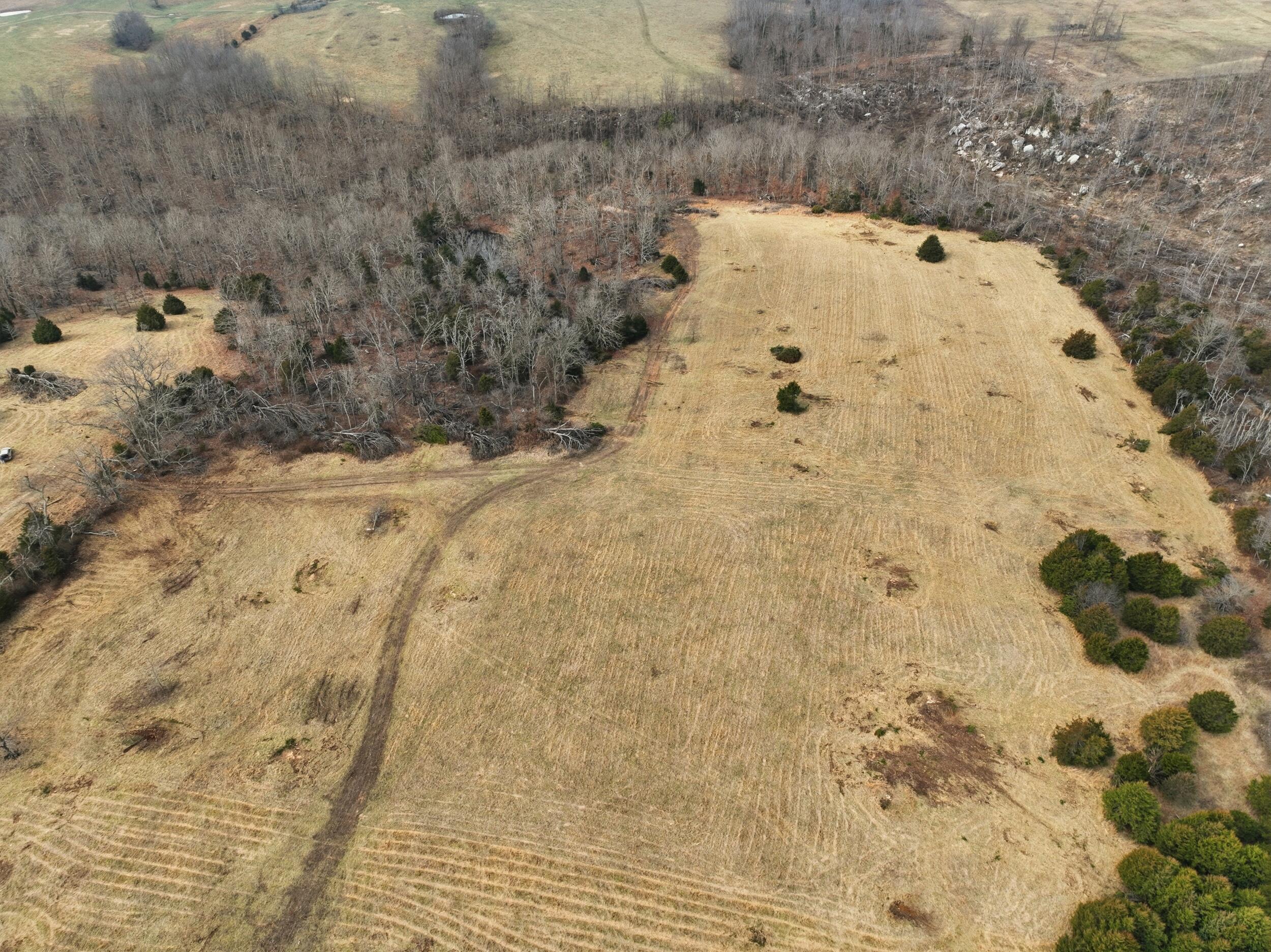 000 County Road 60-489 Property Photo 9