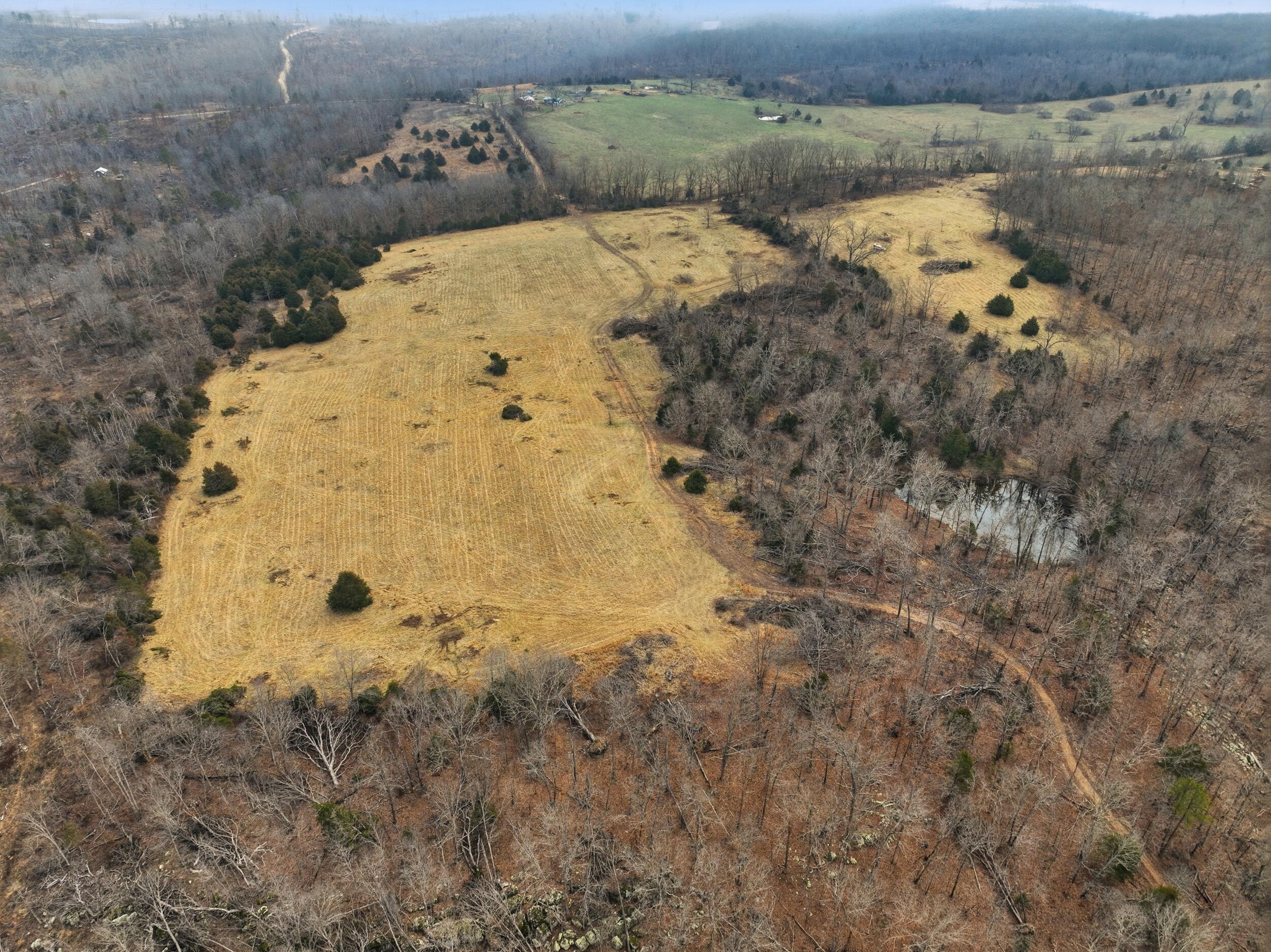 000 County Road 60-489 Property Photo 11