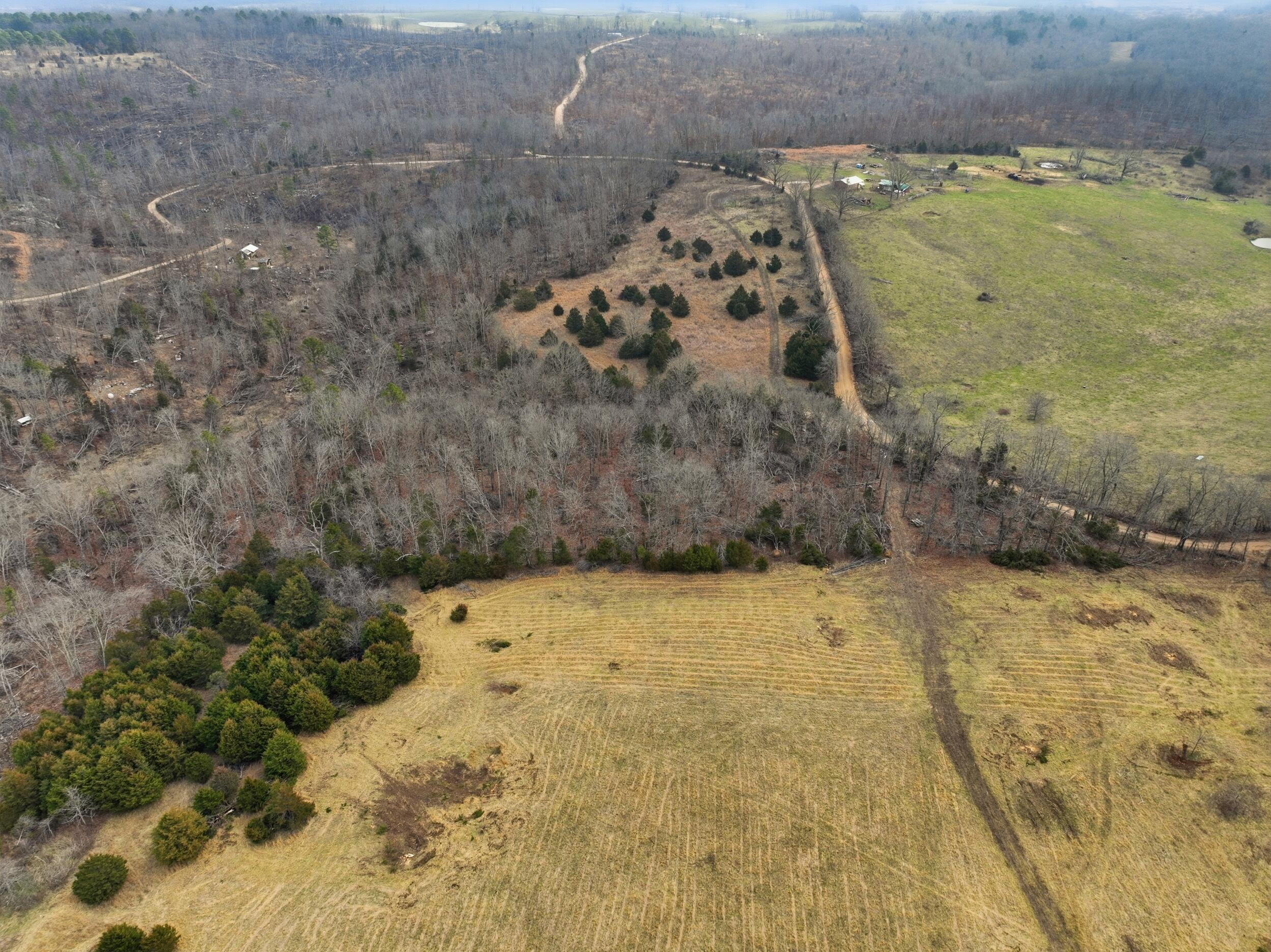 000 County Road 60-489 Property Photo 13