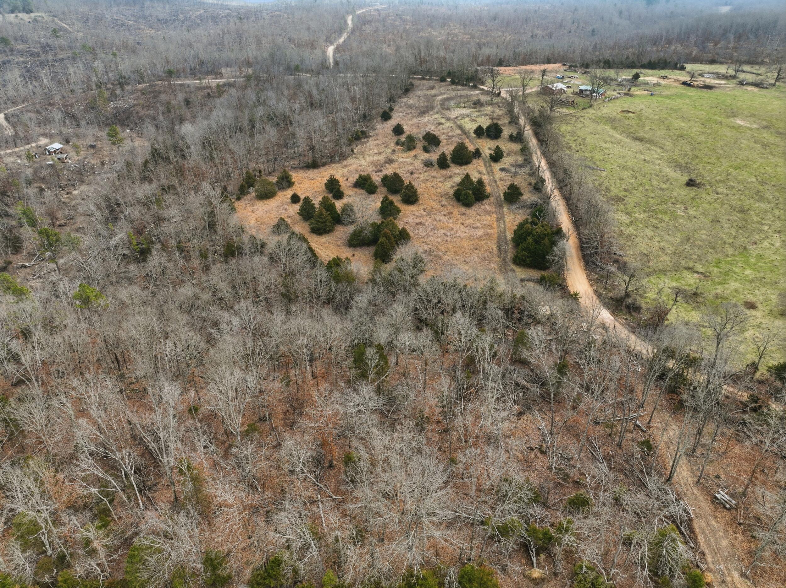 000 County Road 60-489 Property Photo 14