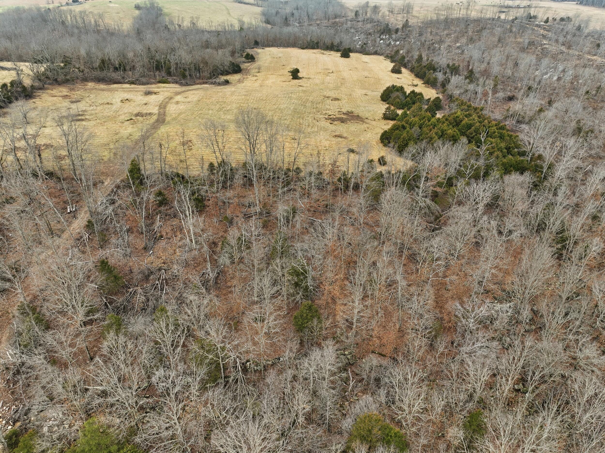 000 County Road 60-489 Property Photo 15